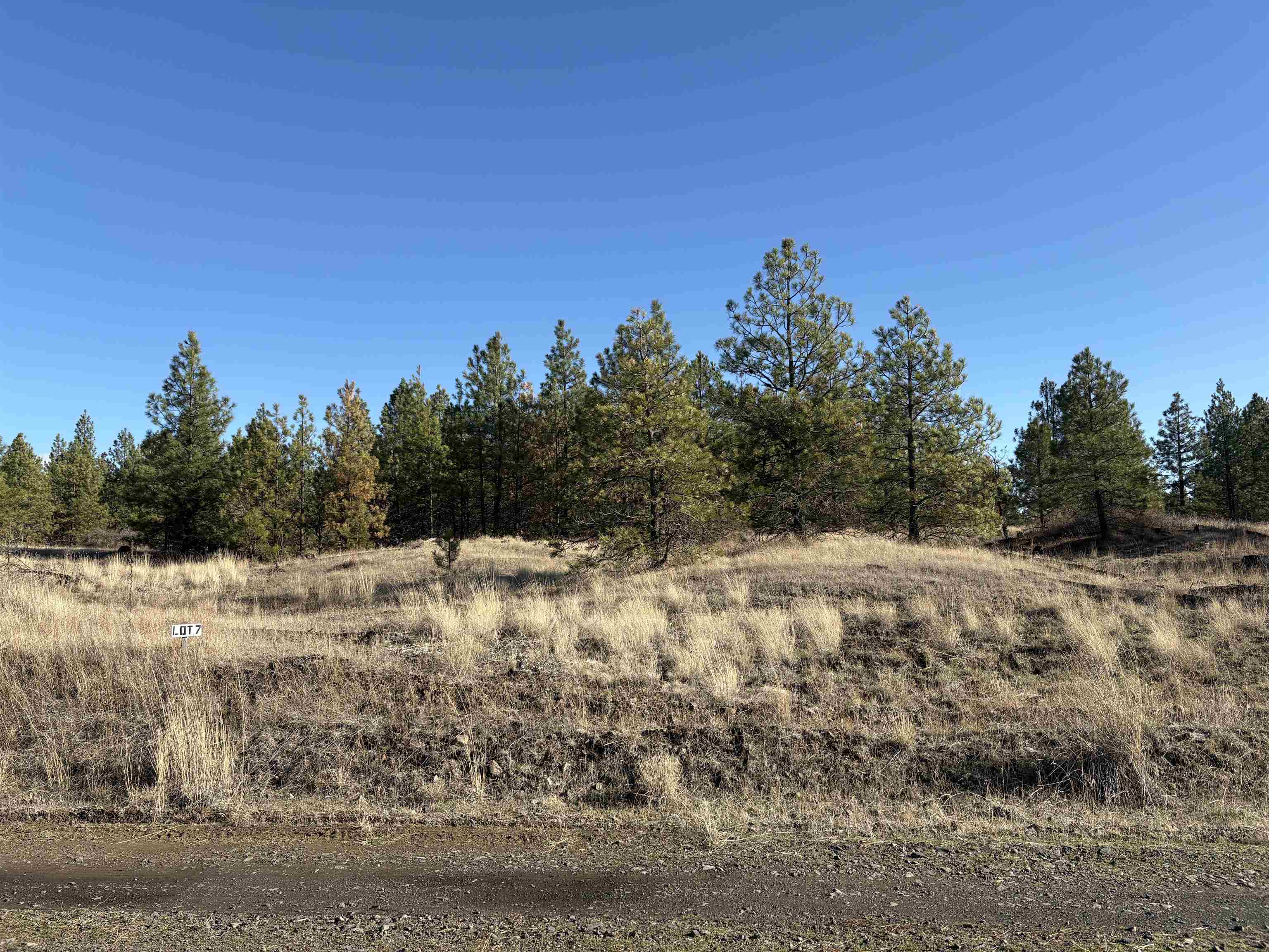 35350 N Prairie Ln - Photo 1