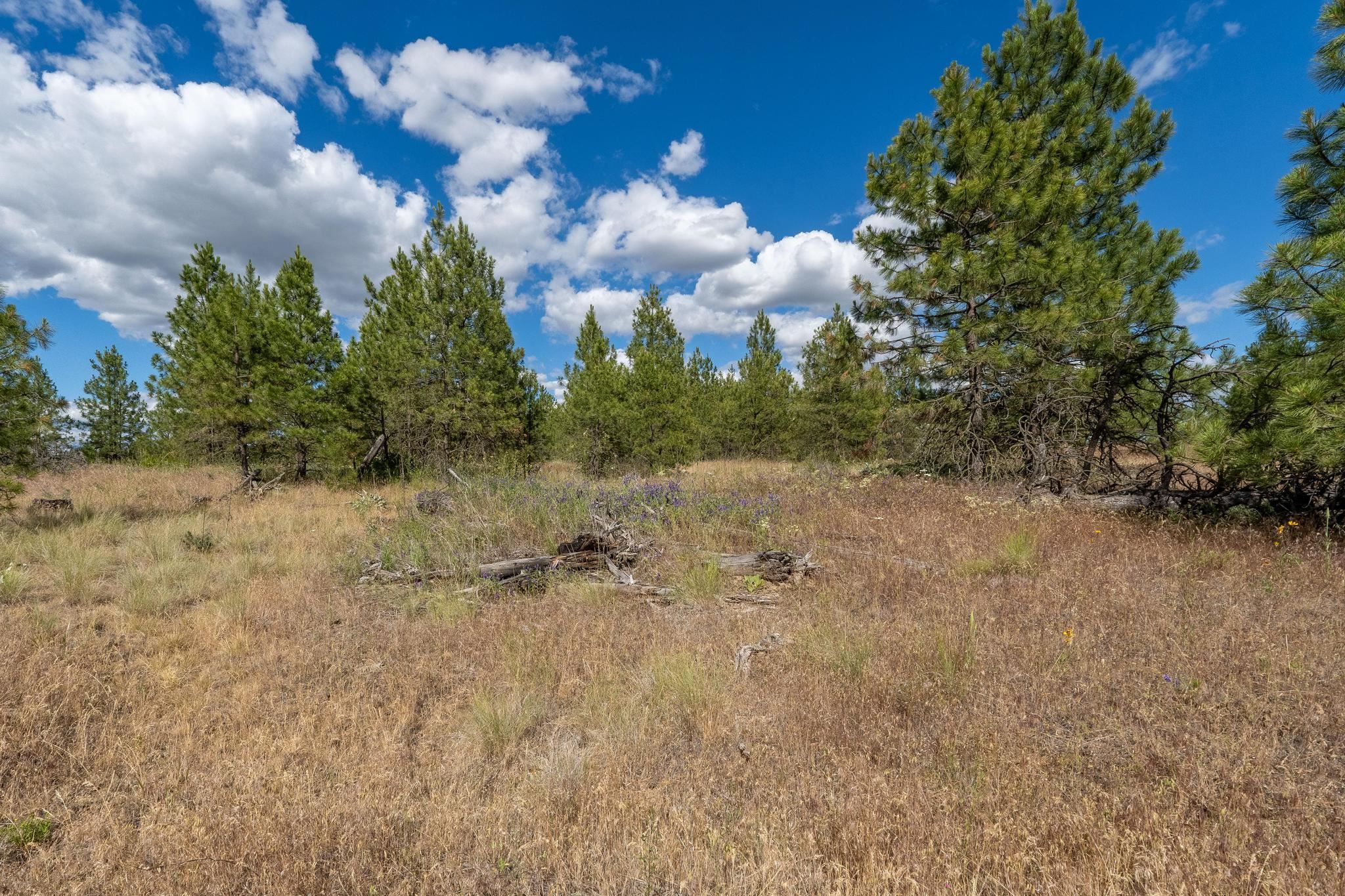 35350 N Prairie Ln - Photo 6