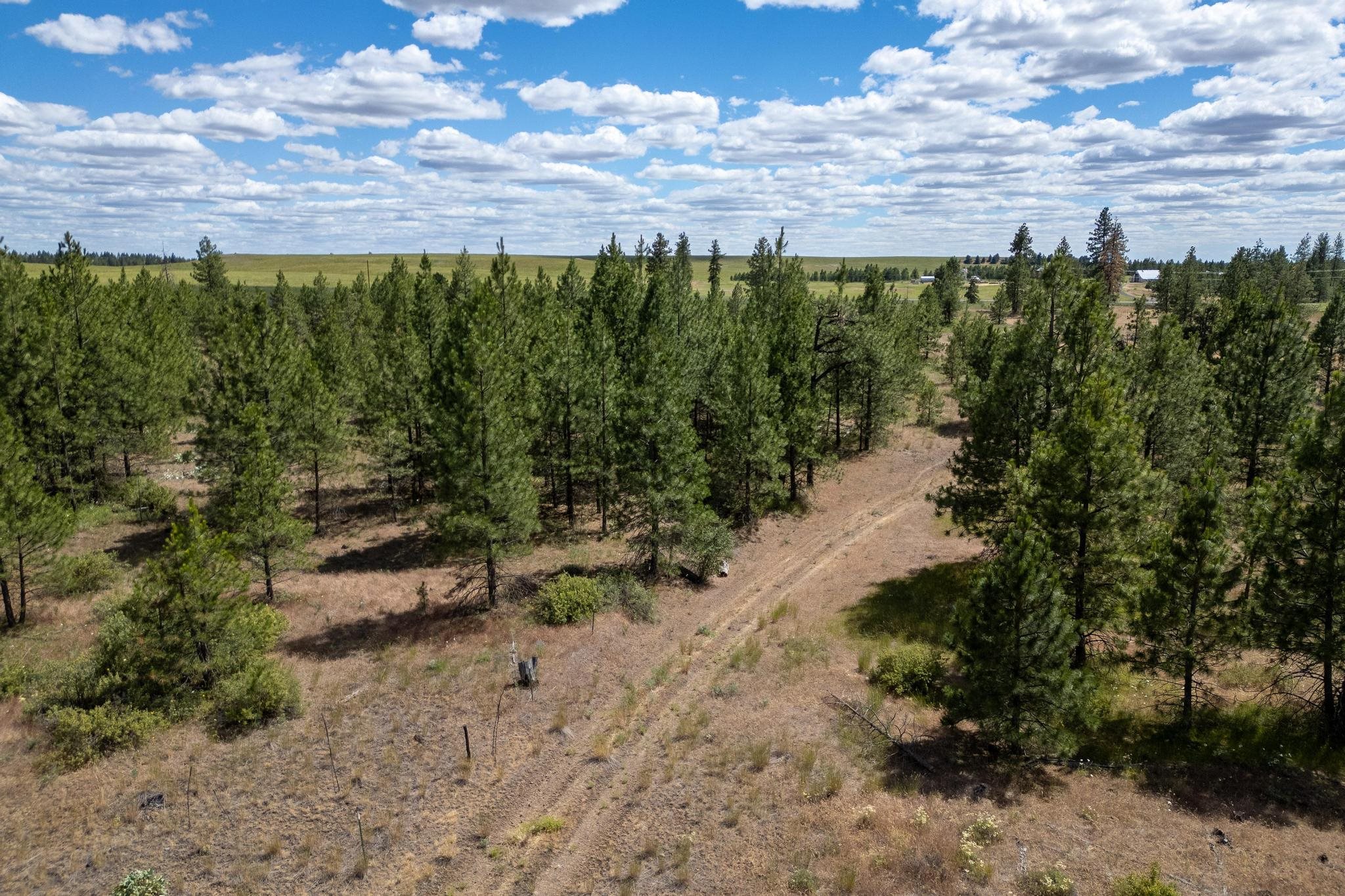 35350 N Prairie Ln - Photo 8