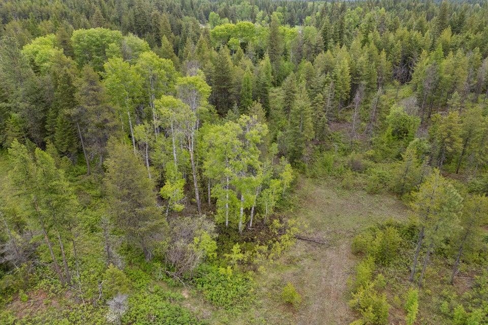 000 Hesseltine Lot 4 Rd - Photo 14