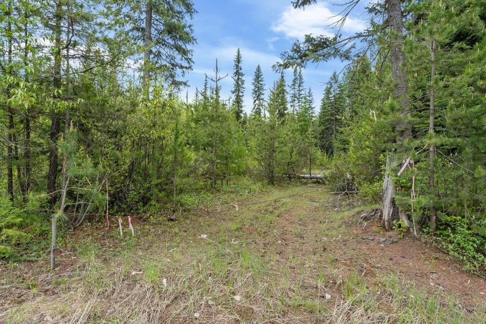 000 Hesseltine Lot 4 Rd - Photo 16
