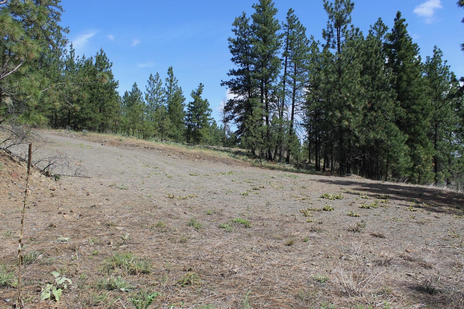 Badger Lot 1&2 Sontag Ridge Ln - Photo 1