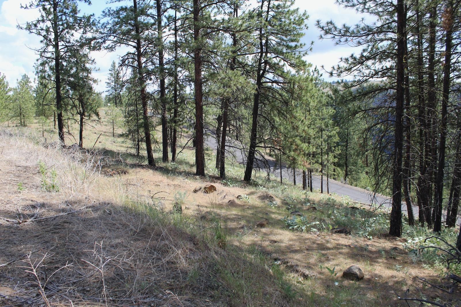 Badger Lot 1&2 Sontag Ridge Ln - Photo 11