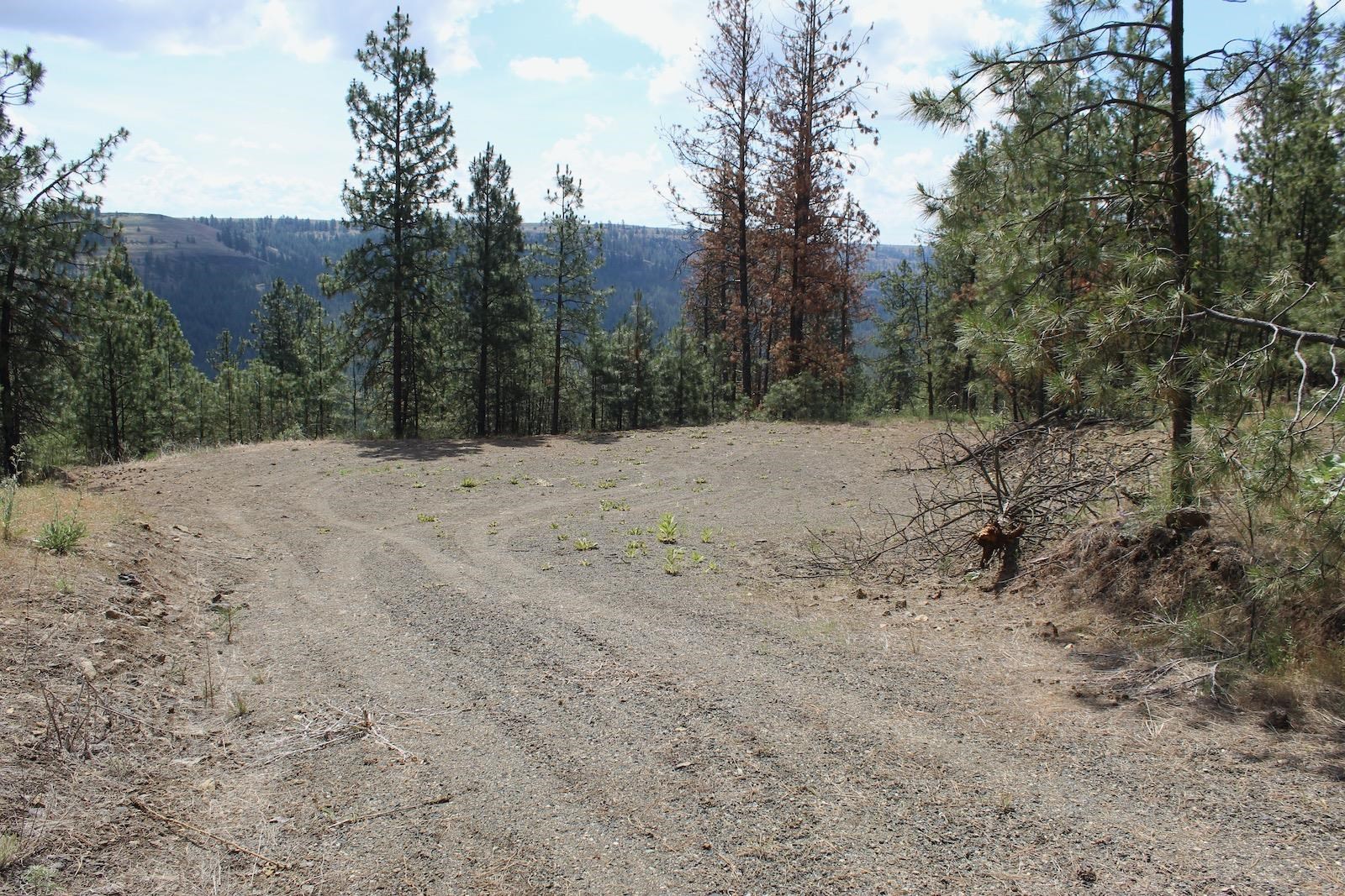 Badger Lot 1&2 Sontag Ridge Ln - Photo 12