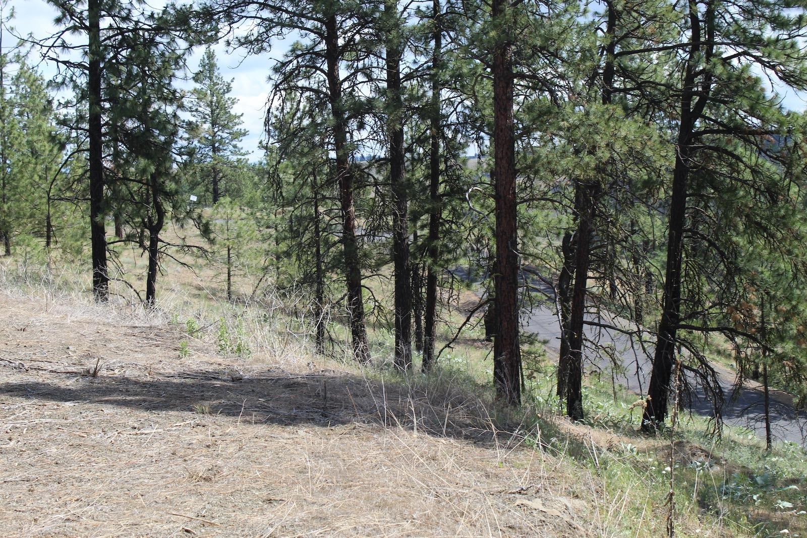 Badger Lot 1&2 Sontag Ridge Ln - Photo 13