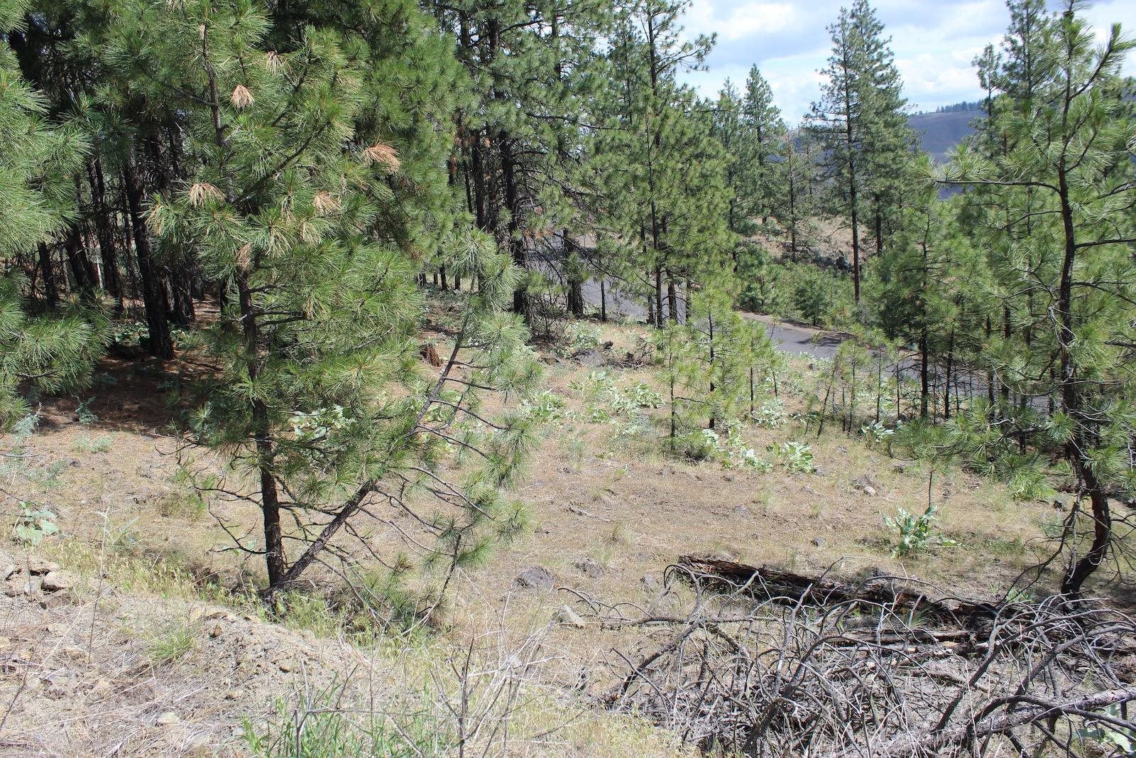 Badger Lot 1&2 Sontag Ridge Ln - Photo 3