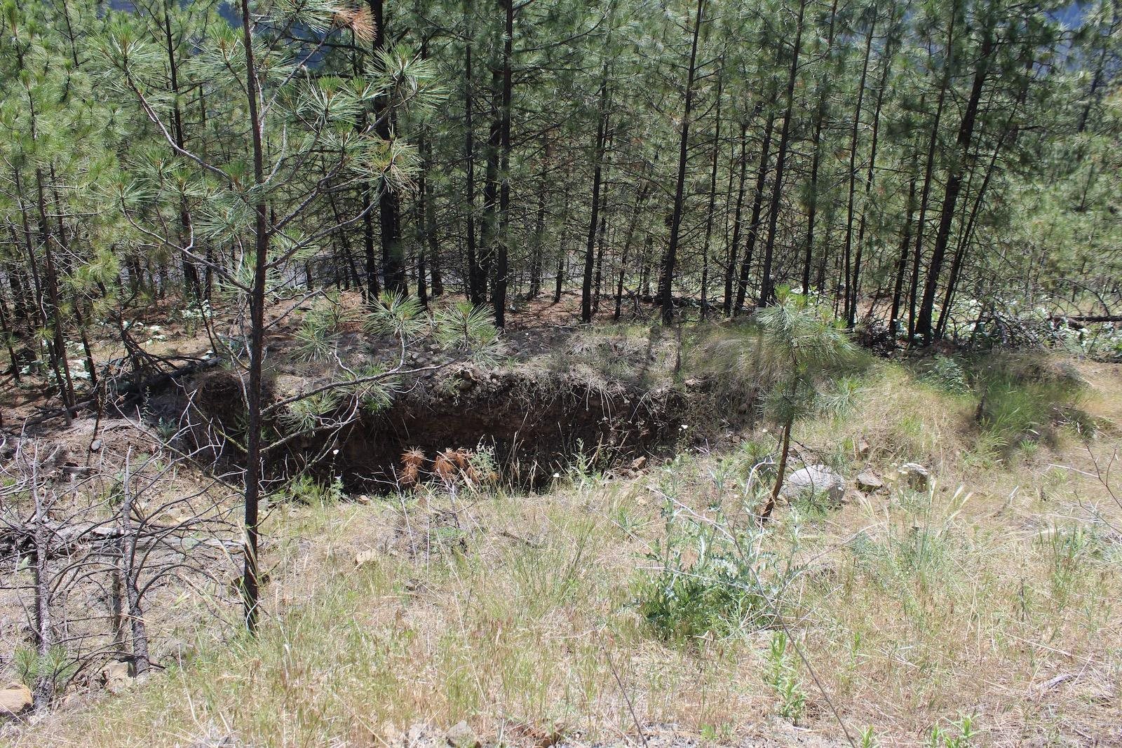 Badger Lot 1&2 Sontag Ridge Ln - Photo 4