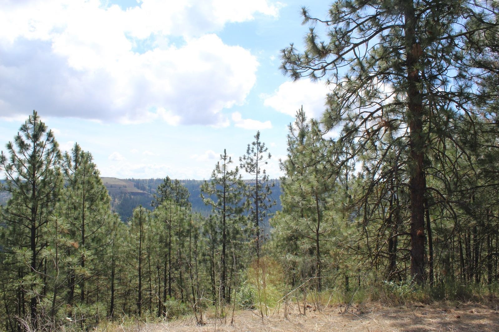 Badger Lot 1&2 Sontag Ridge Ln - Photo 5