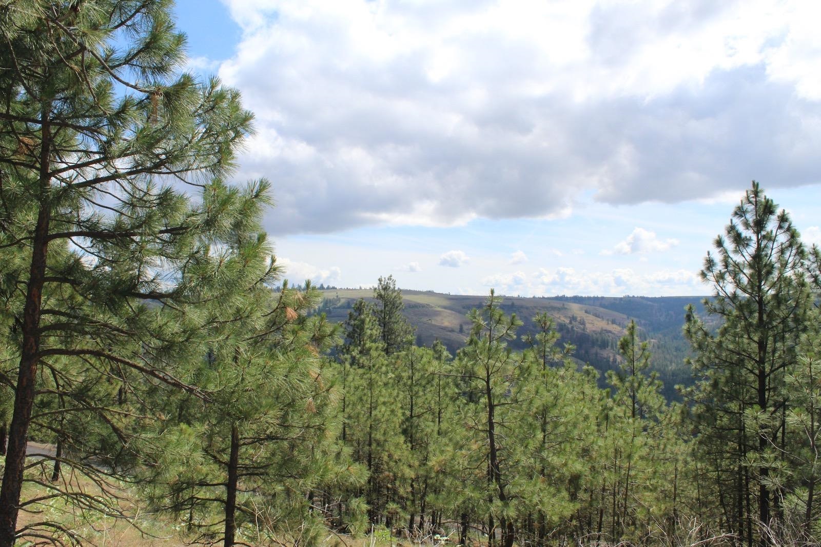 Badger Lot 1&2 Sontag Ridge Ln - Photo 6