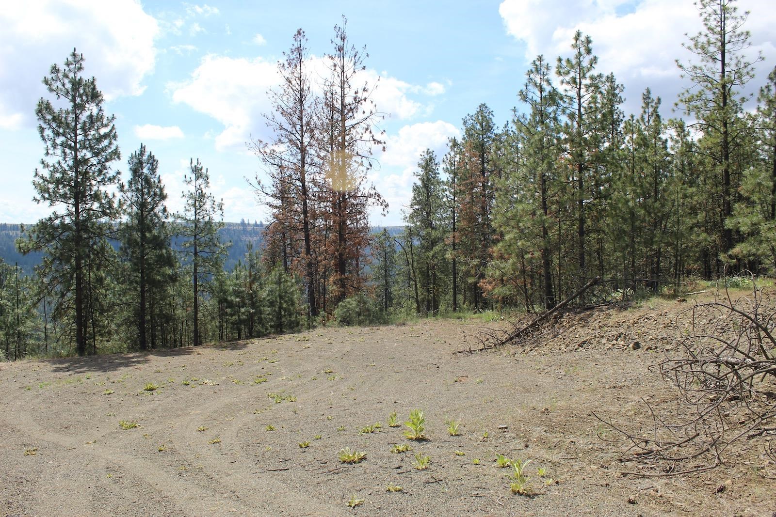 Badger Lot 1&2 Sontag Ridge Ln - Photo 7