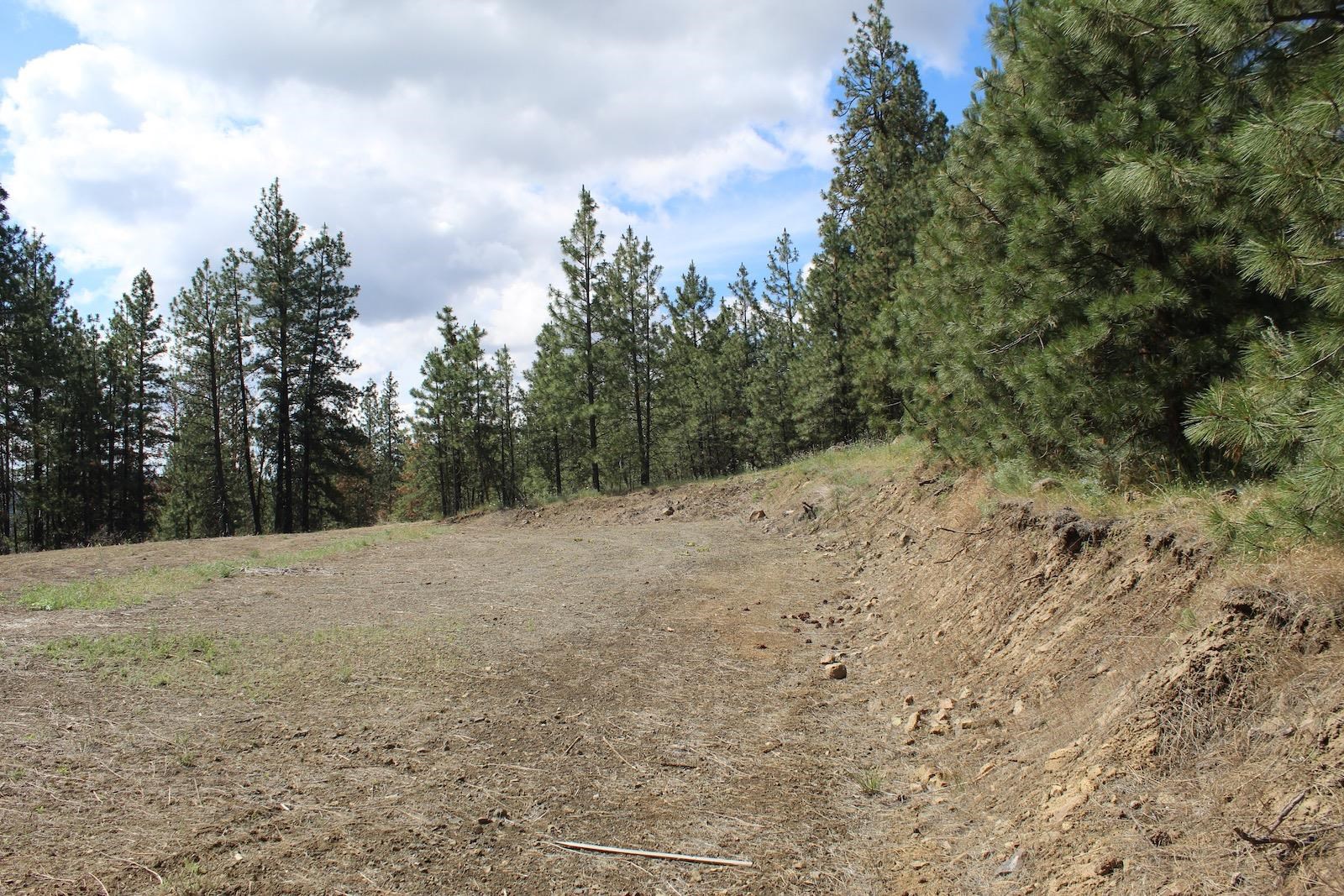 Badger Lot 1&2 Sontag Ridge Ln - Photo 8