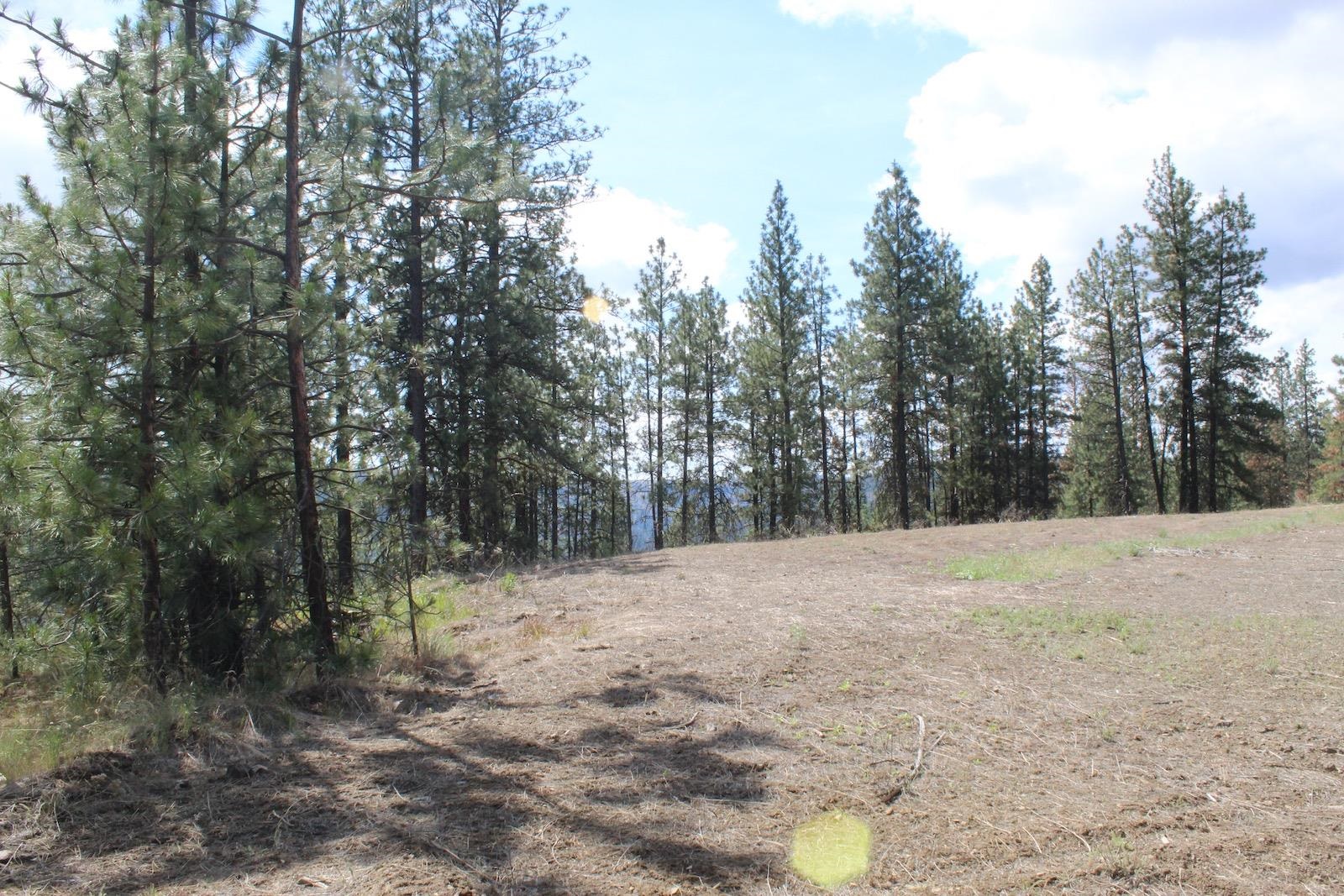 Badger Lot 1&2 Sontag Ridge Ln - Photo 9