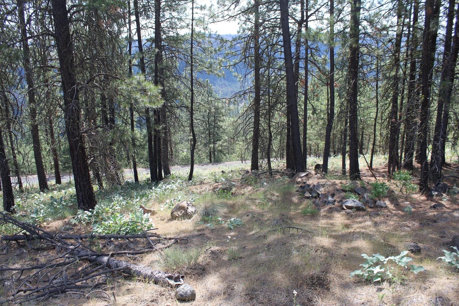 Badger Lot 1&2 Sontag Ridge Ln - Photo 10