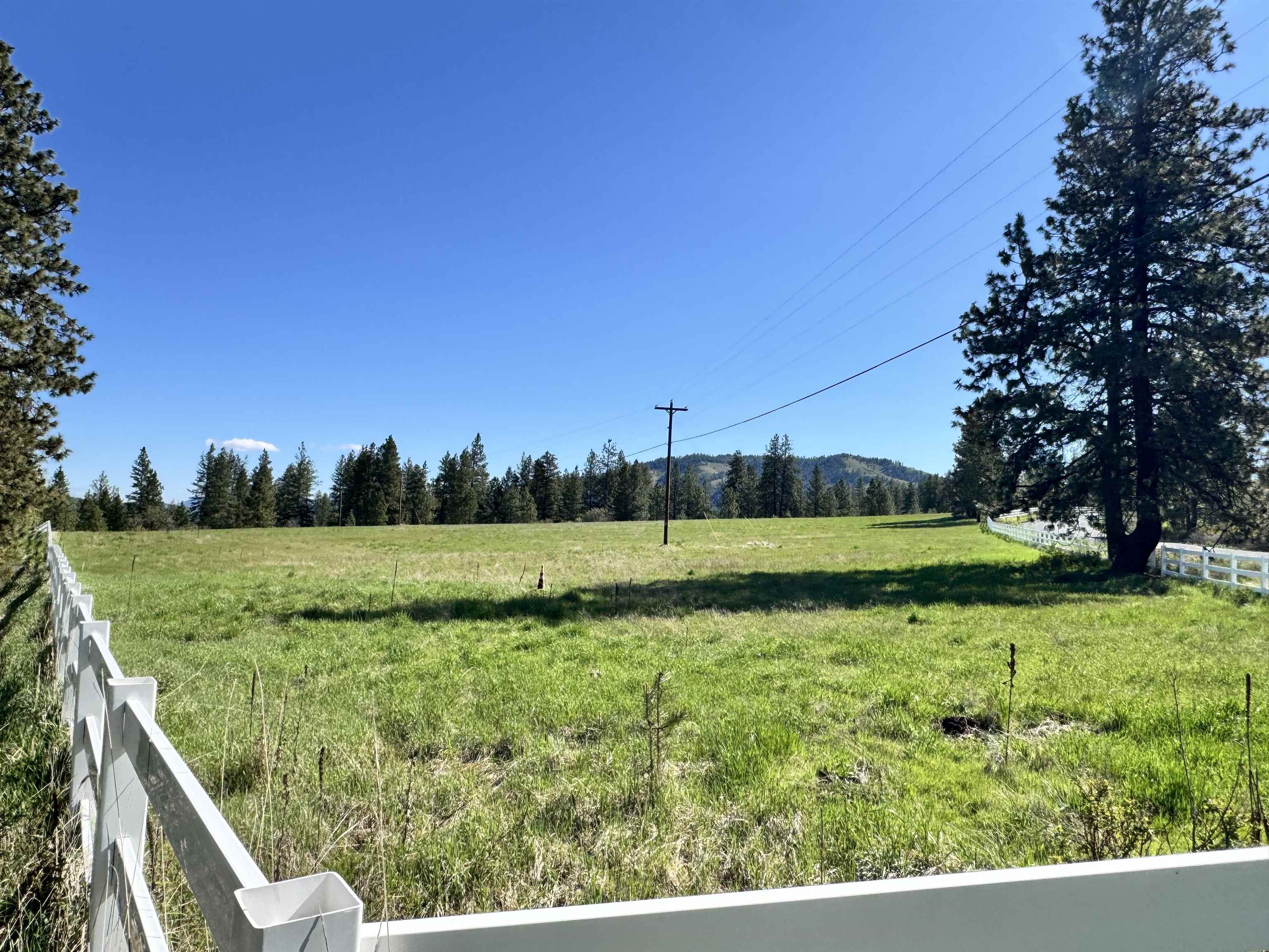 31445 E Hume Rd - Photo 11