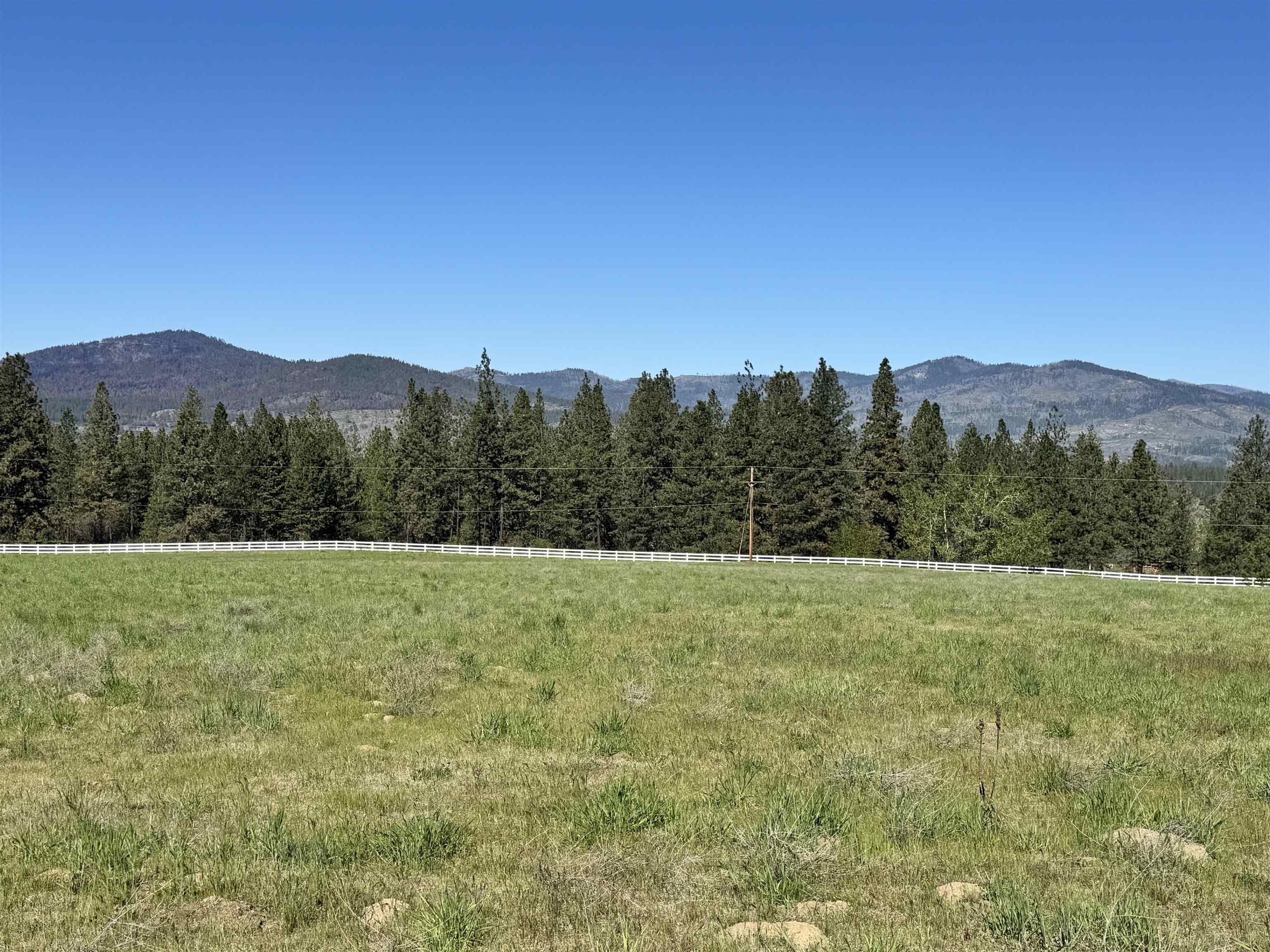 31445 E Hume Rd - Photo 12