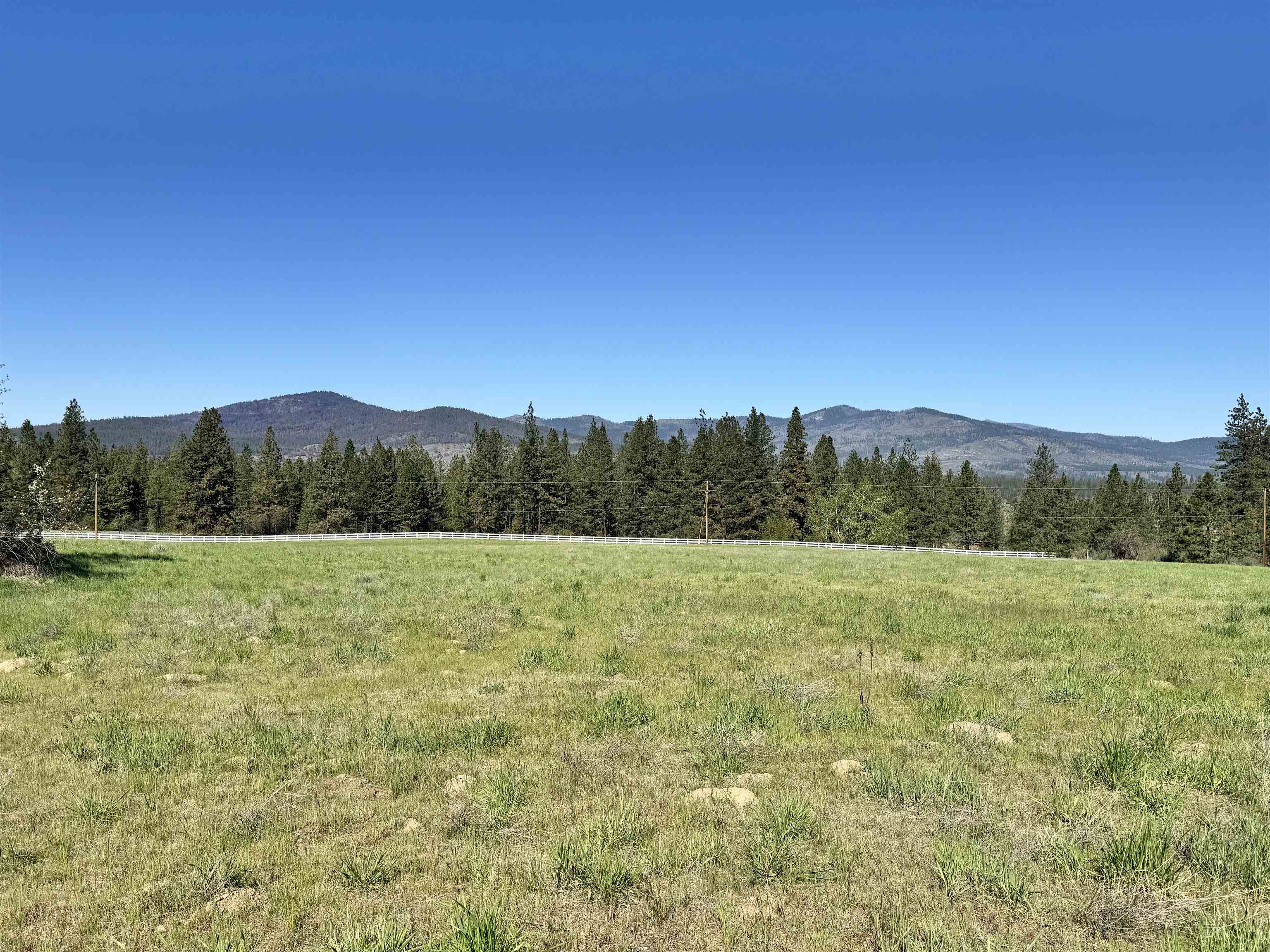 31445 E Hume Rd - Photo 13