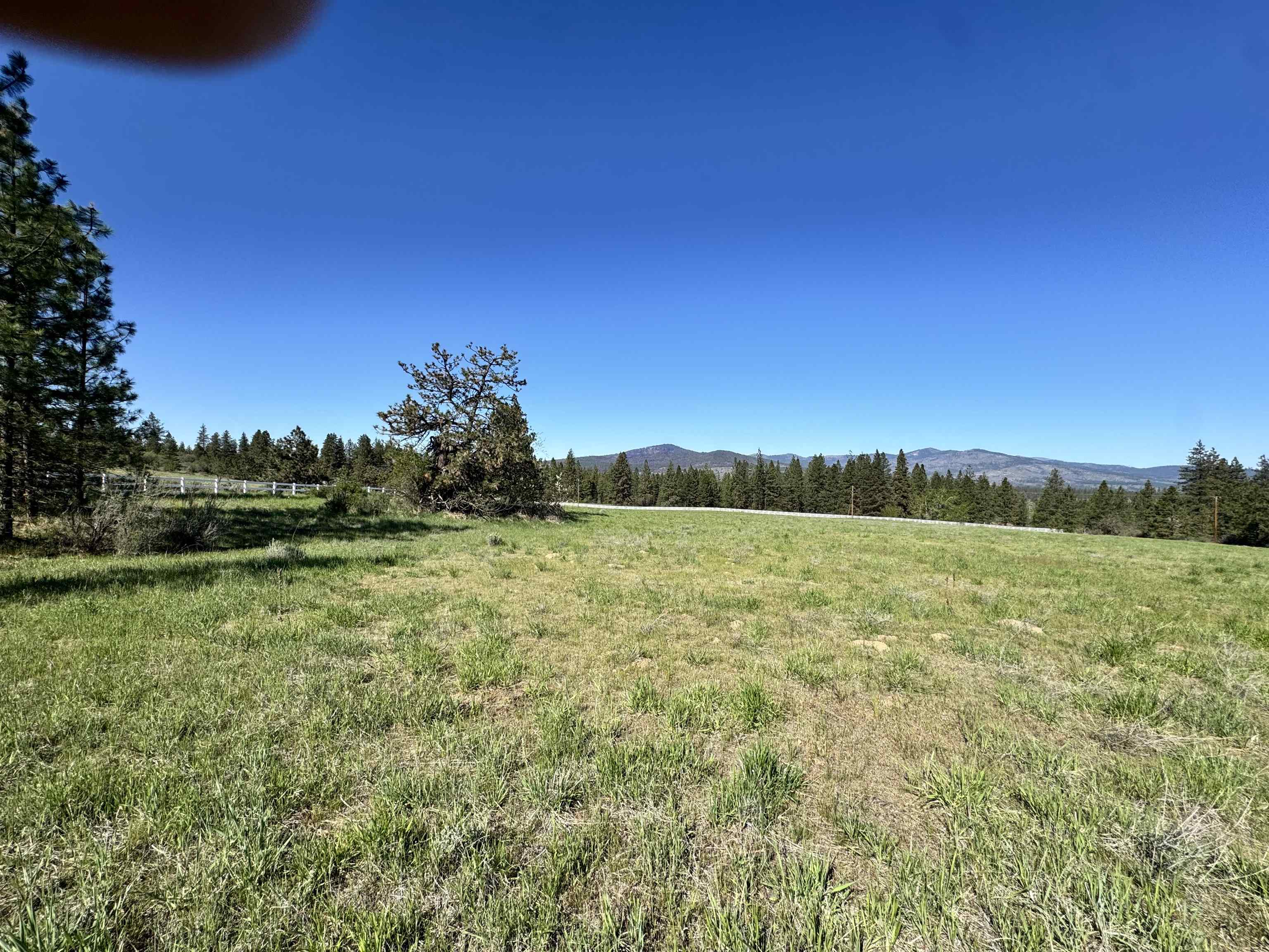 31445 E Hume Rd - Photo 14
