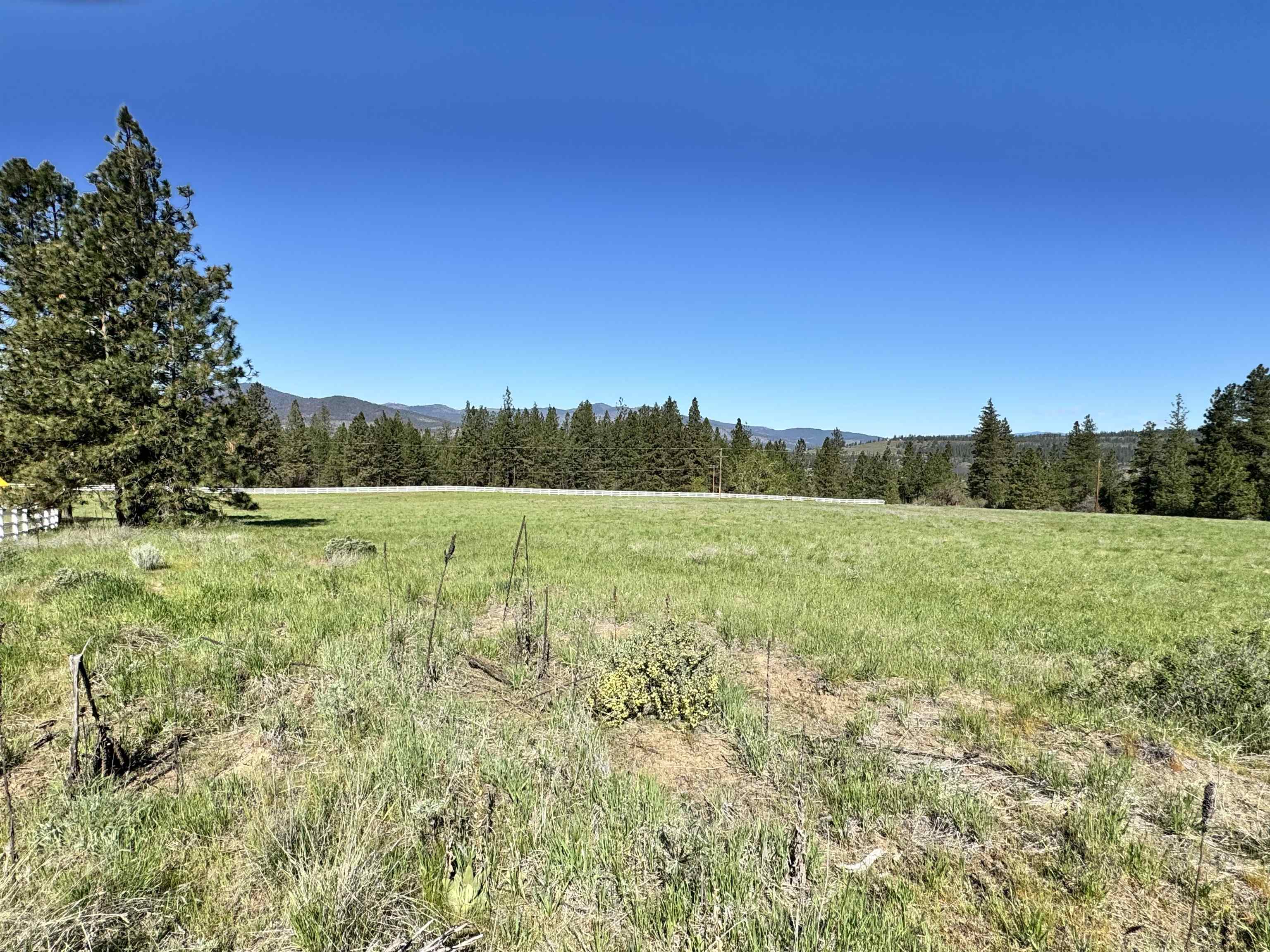 31445 E Hume Rd - Photo 15