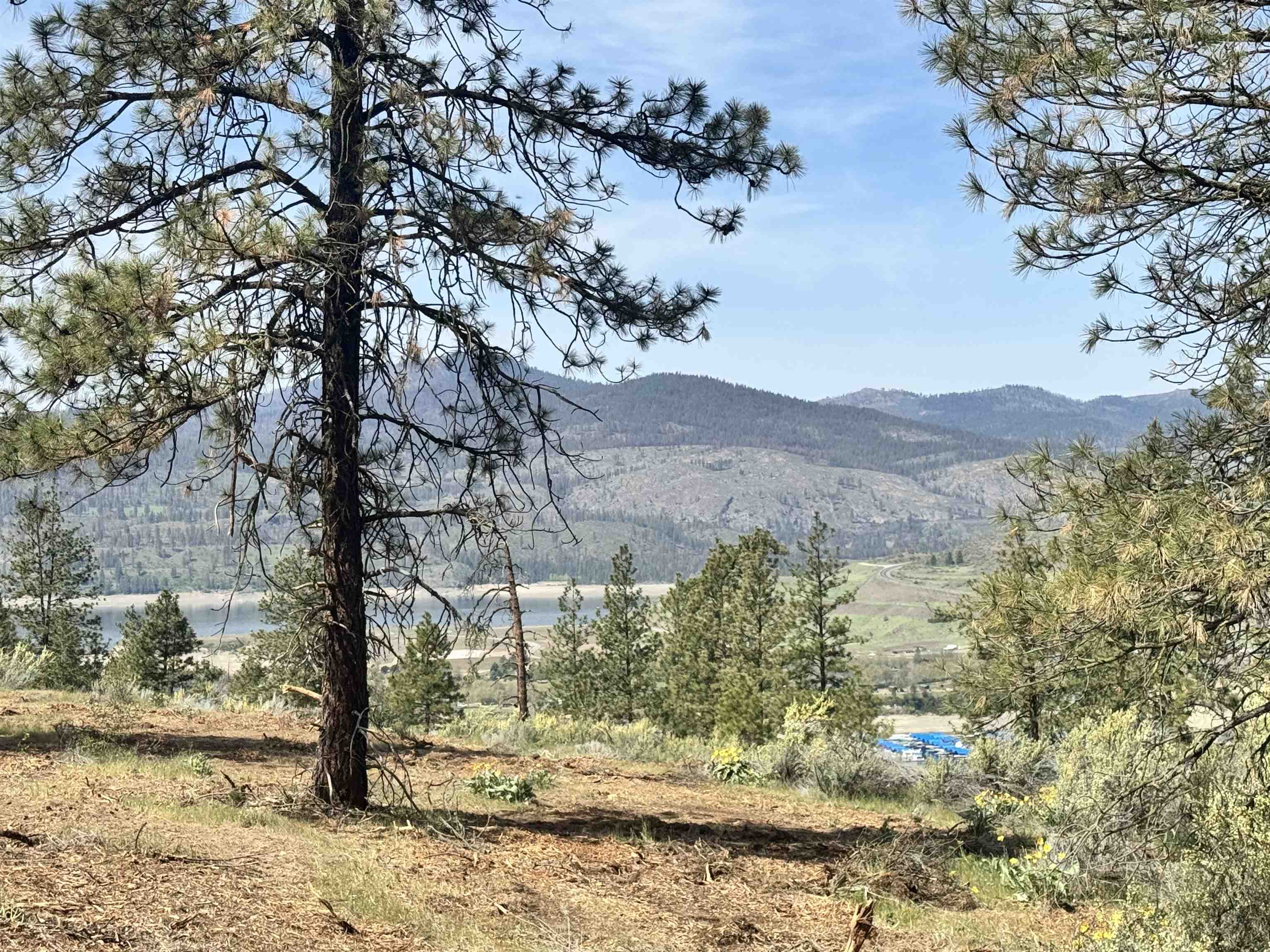 31445 E Hume Rd - Photo 5