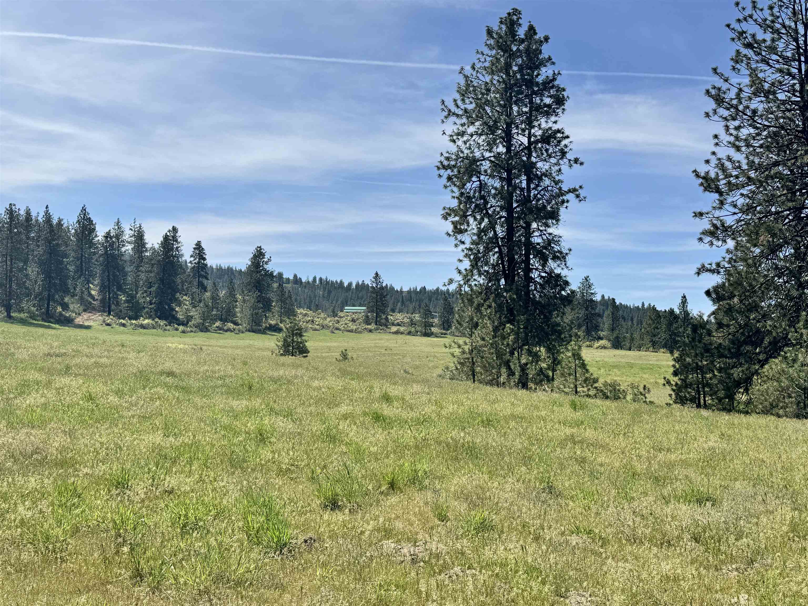 31445 E Hume Rd - Photo 8