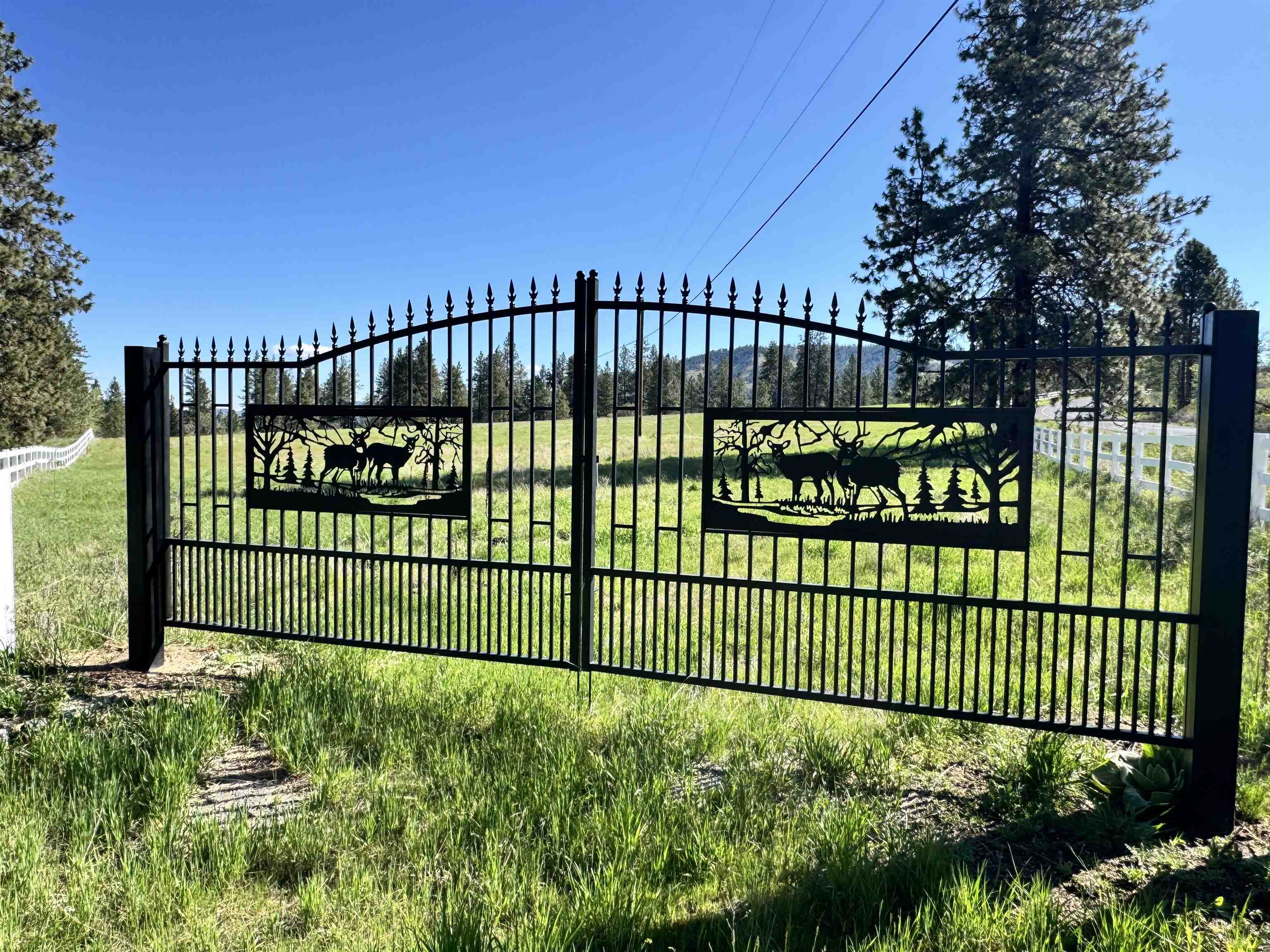 31445 E Hume Rd - Photo 9