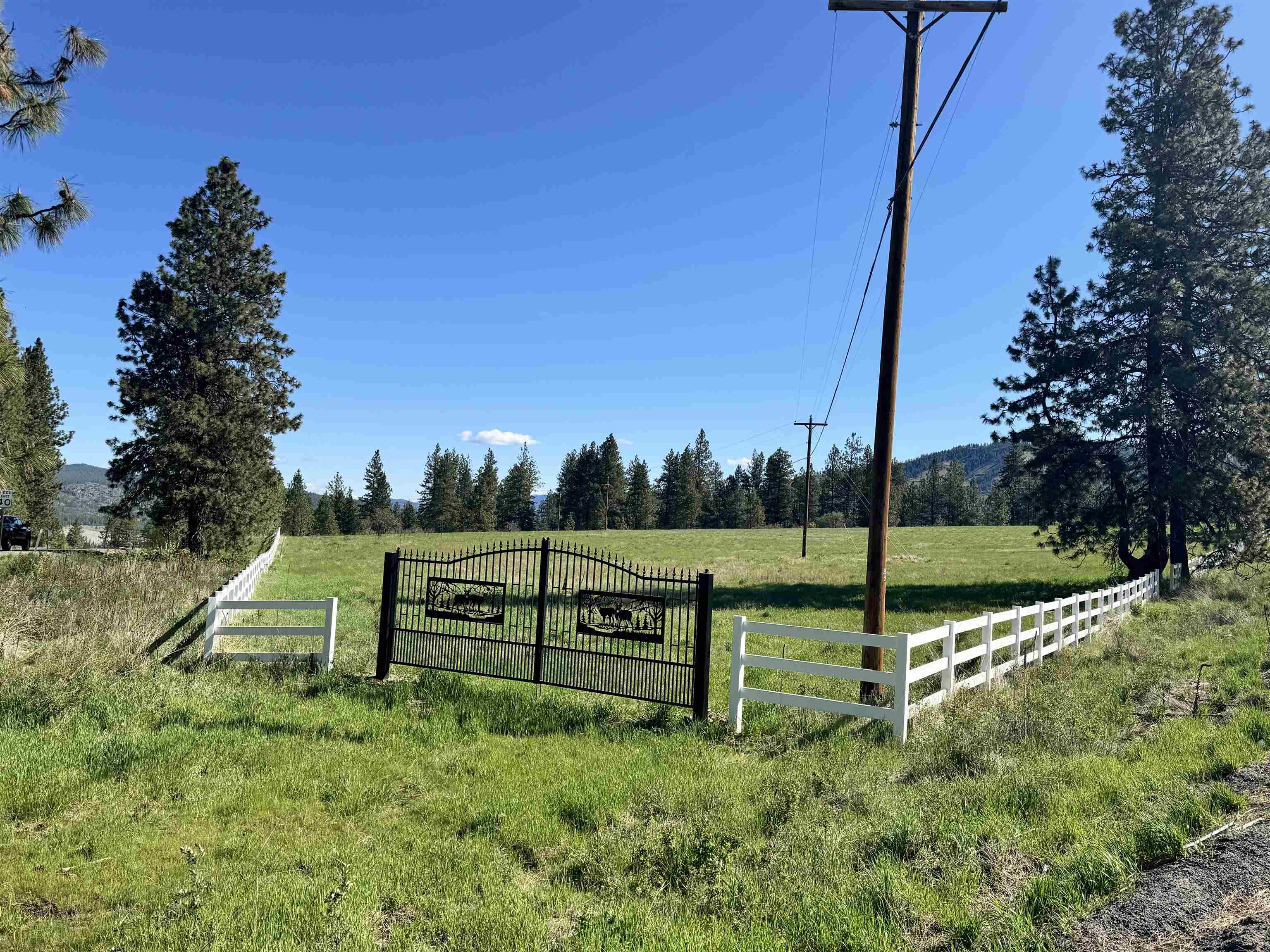 31445 E Hume Rd - Photo 10