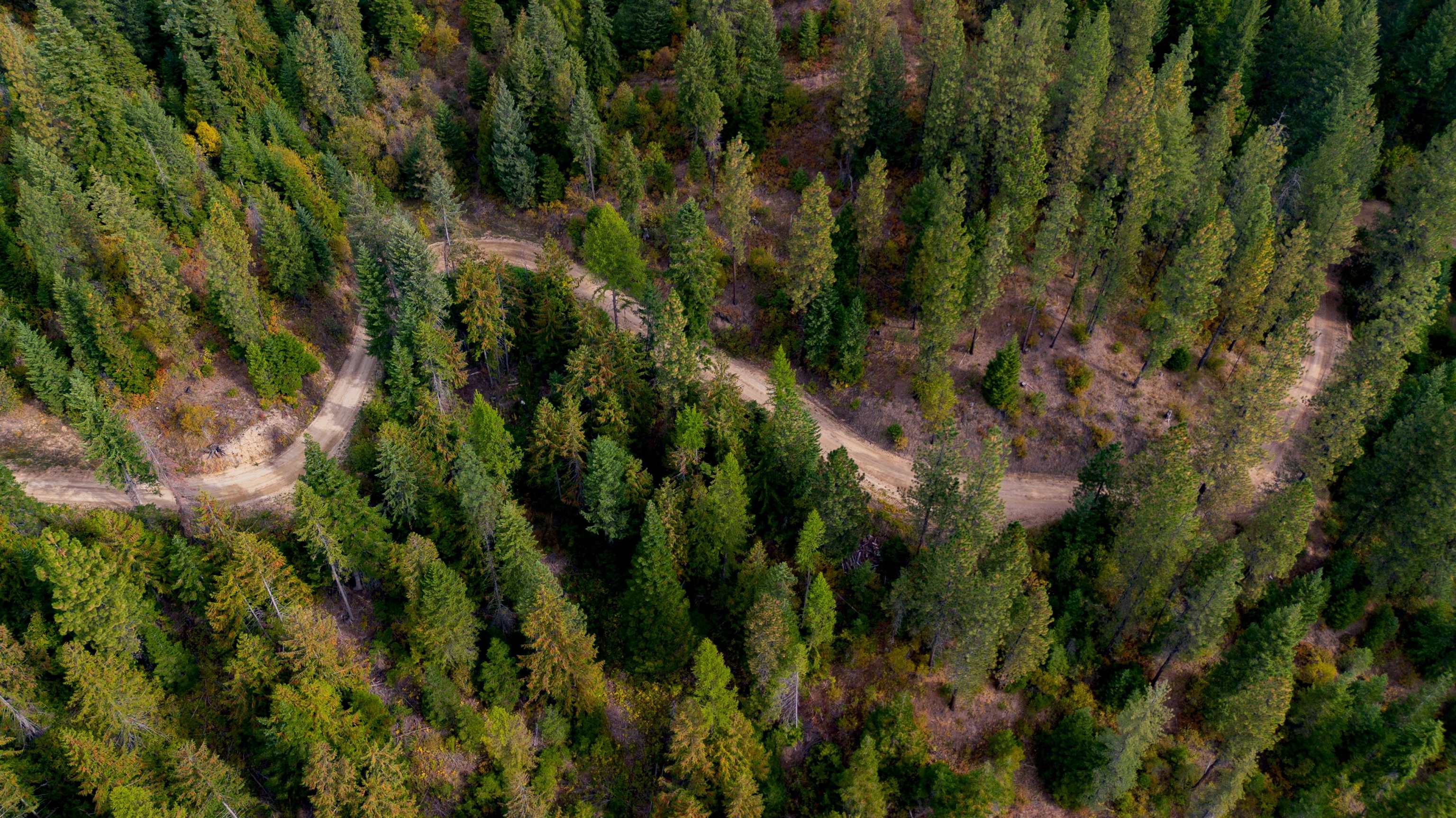4450 Buck Creek Rd - Photo 13