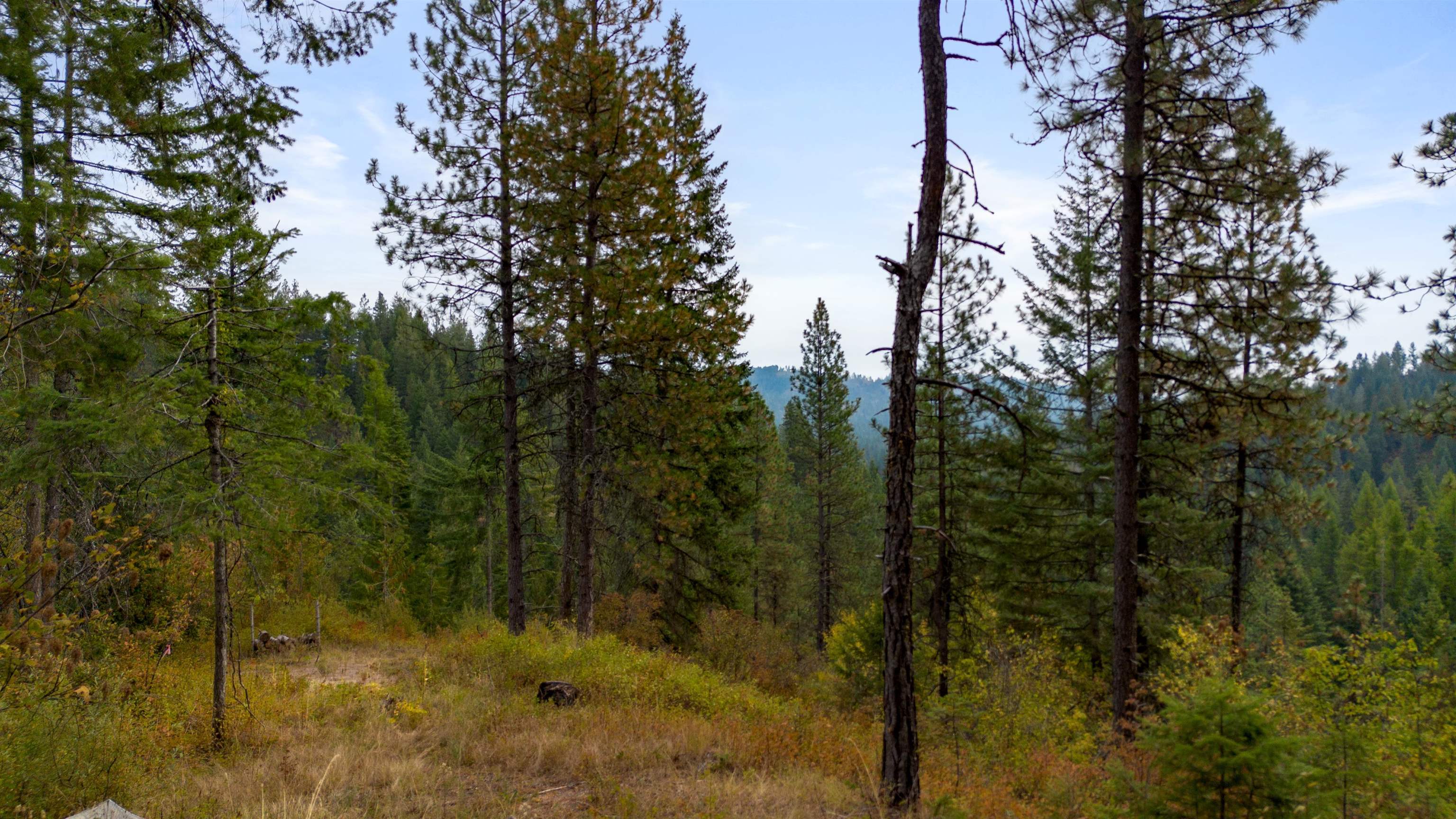 4450 Buck Creek Rd - Photo 4