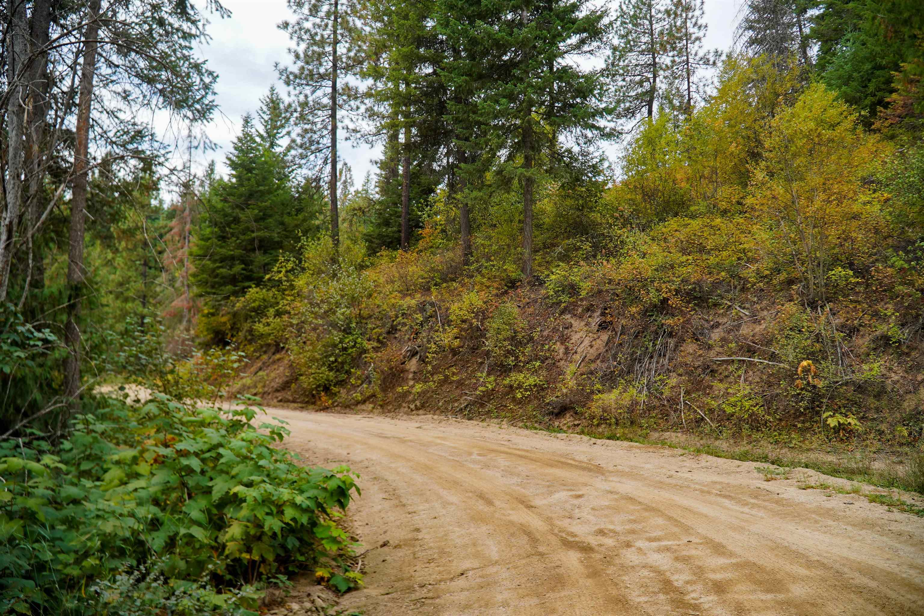 4450 Buck Creek Rd - Photo 5