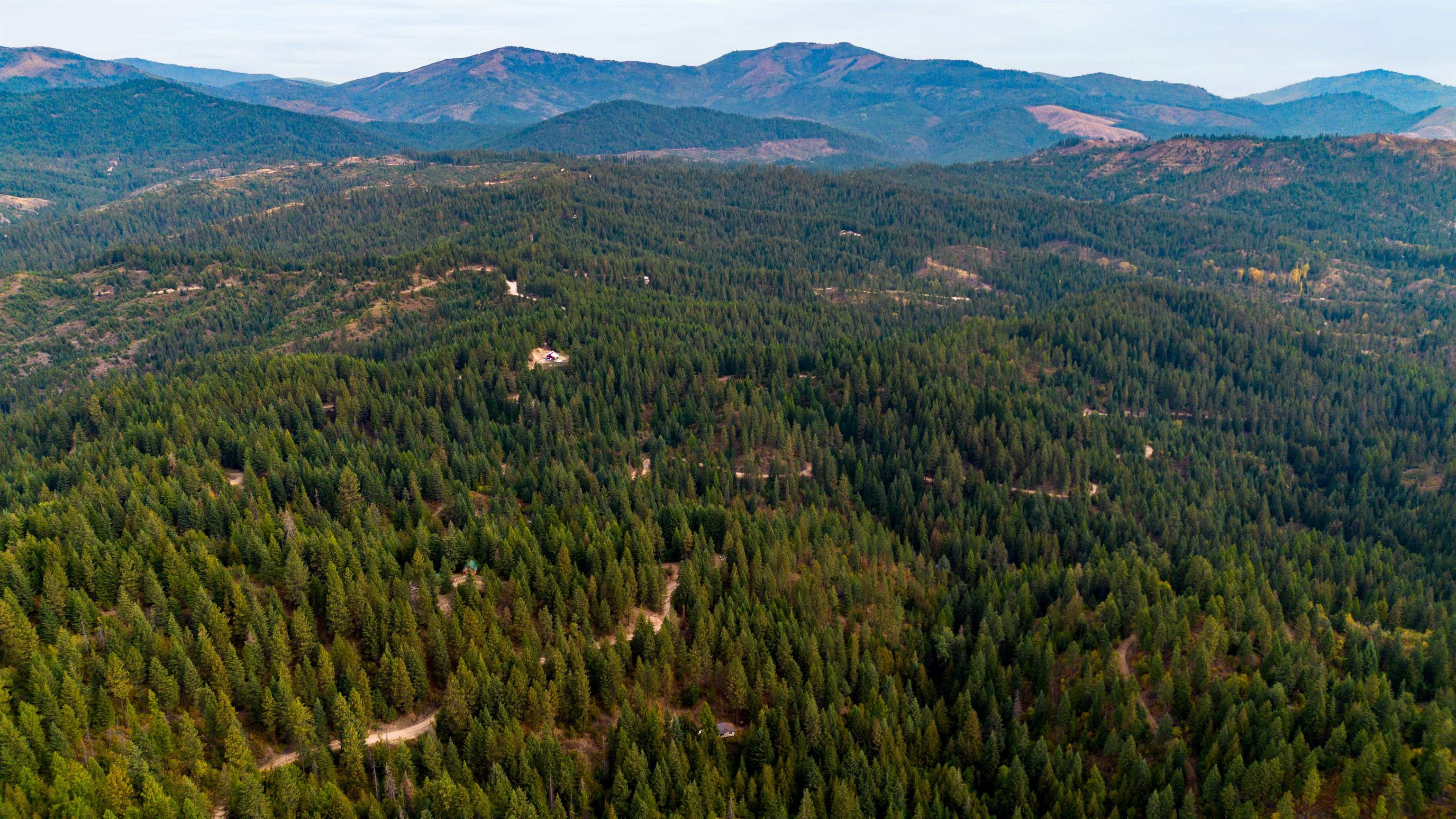 4450 Buck Creek Rd - Photo 6