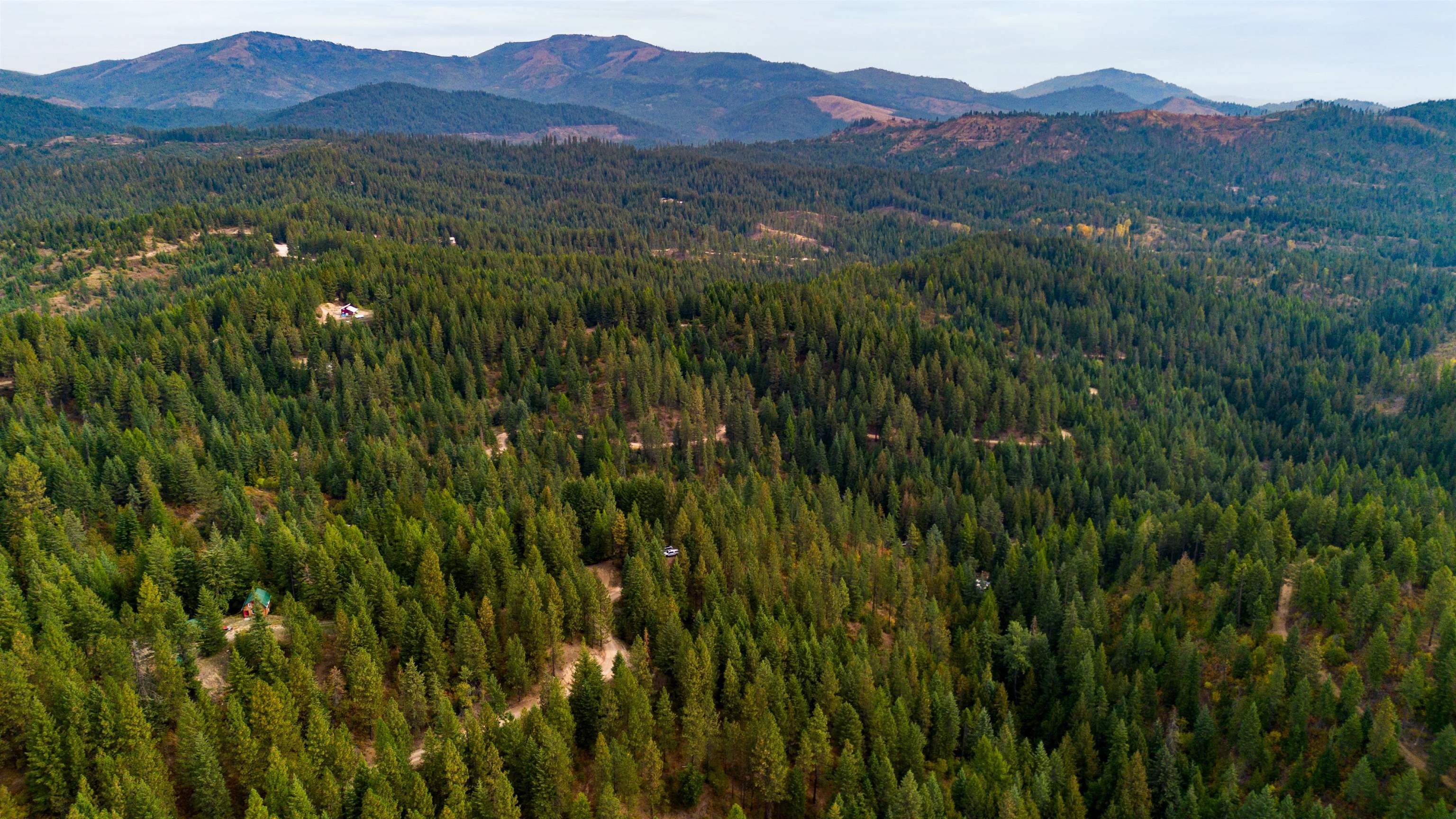 4450 Buck Creek Rd - Photo 8