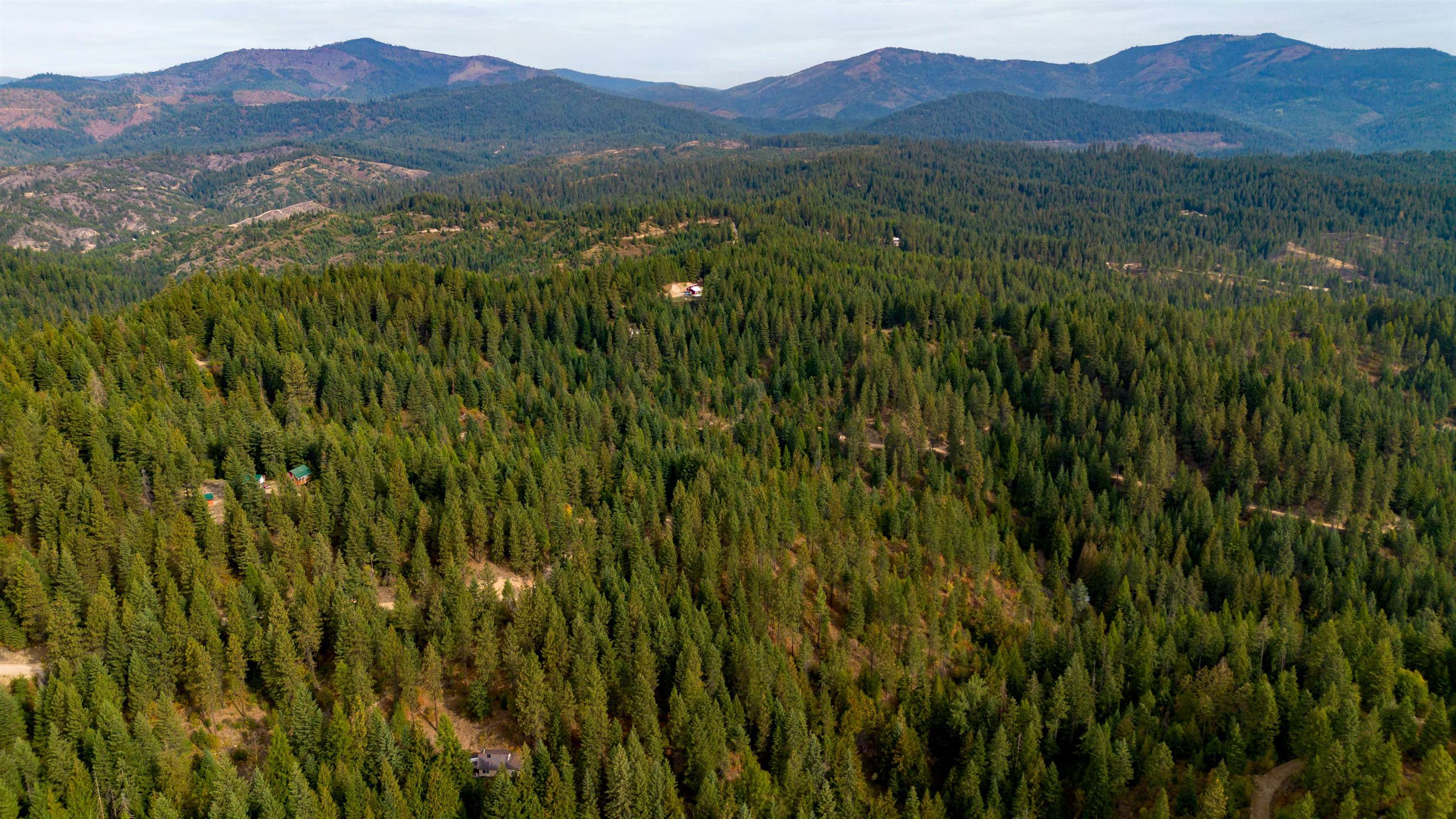 4450 Buck Creek Rd - Photo 9