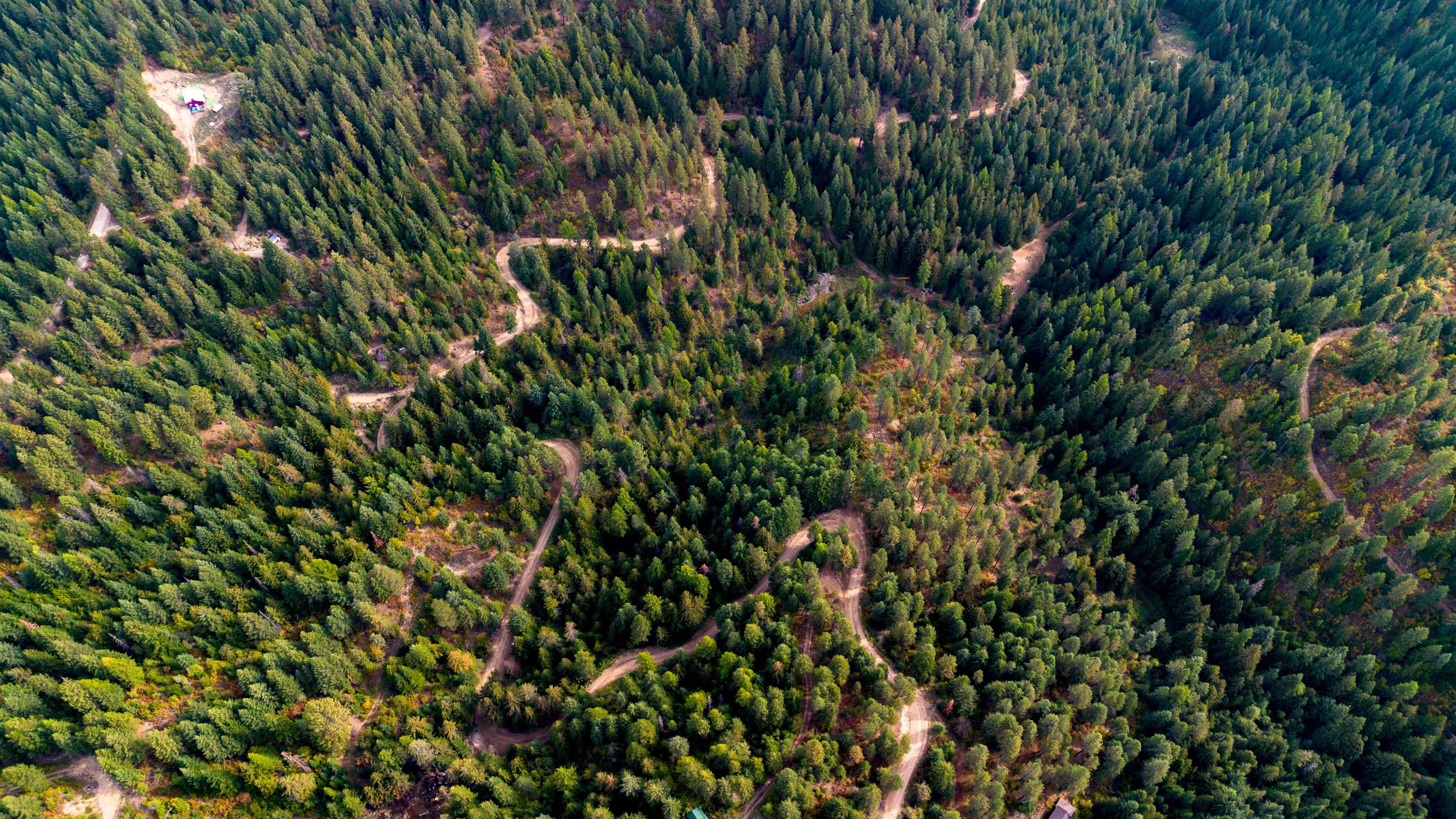 4450 Buck Creek Rd - Photo 10