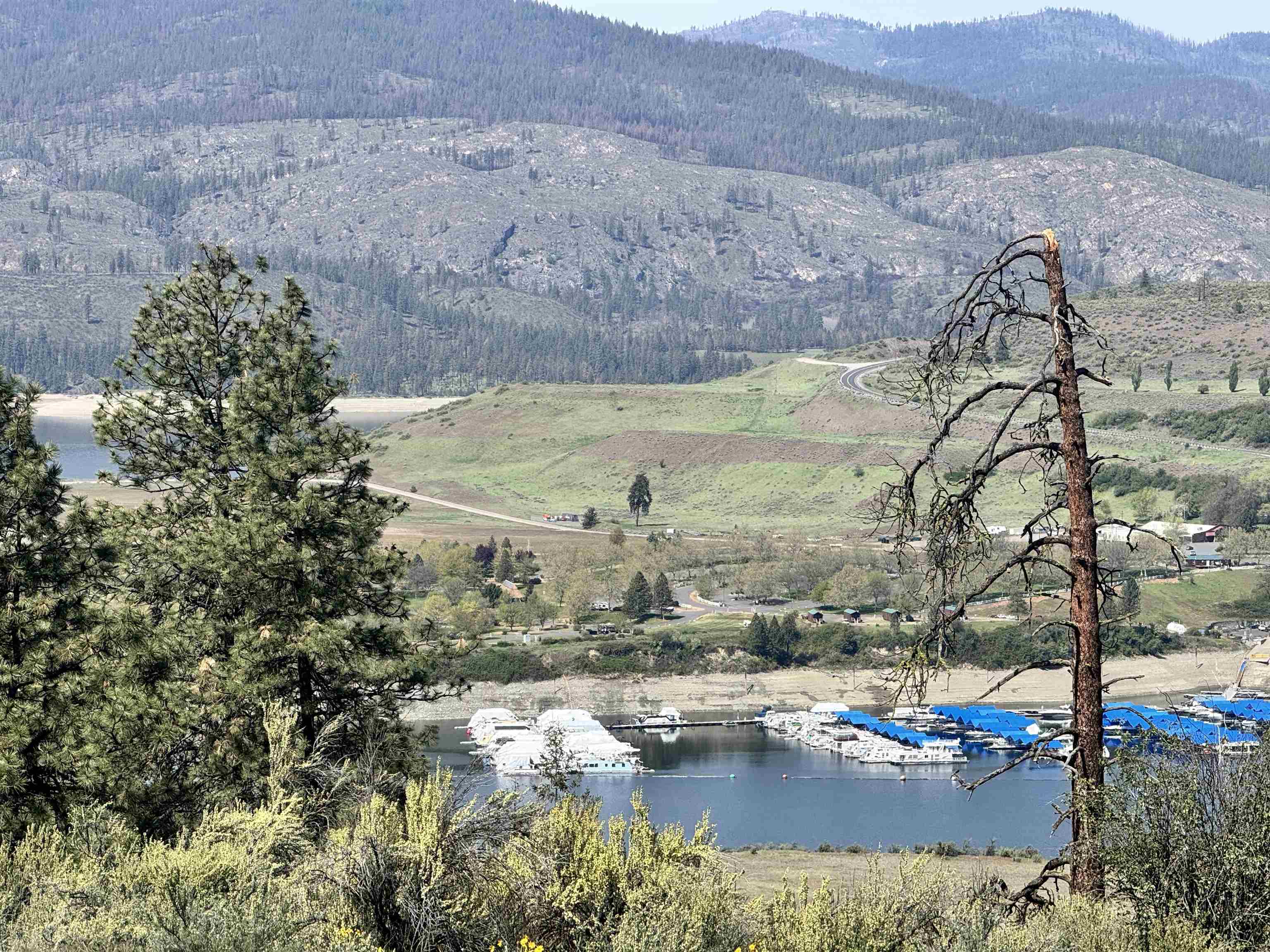 31555 E Hume Rd - Photo 2