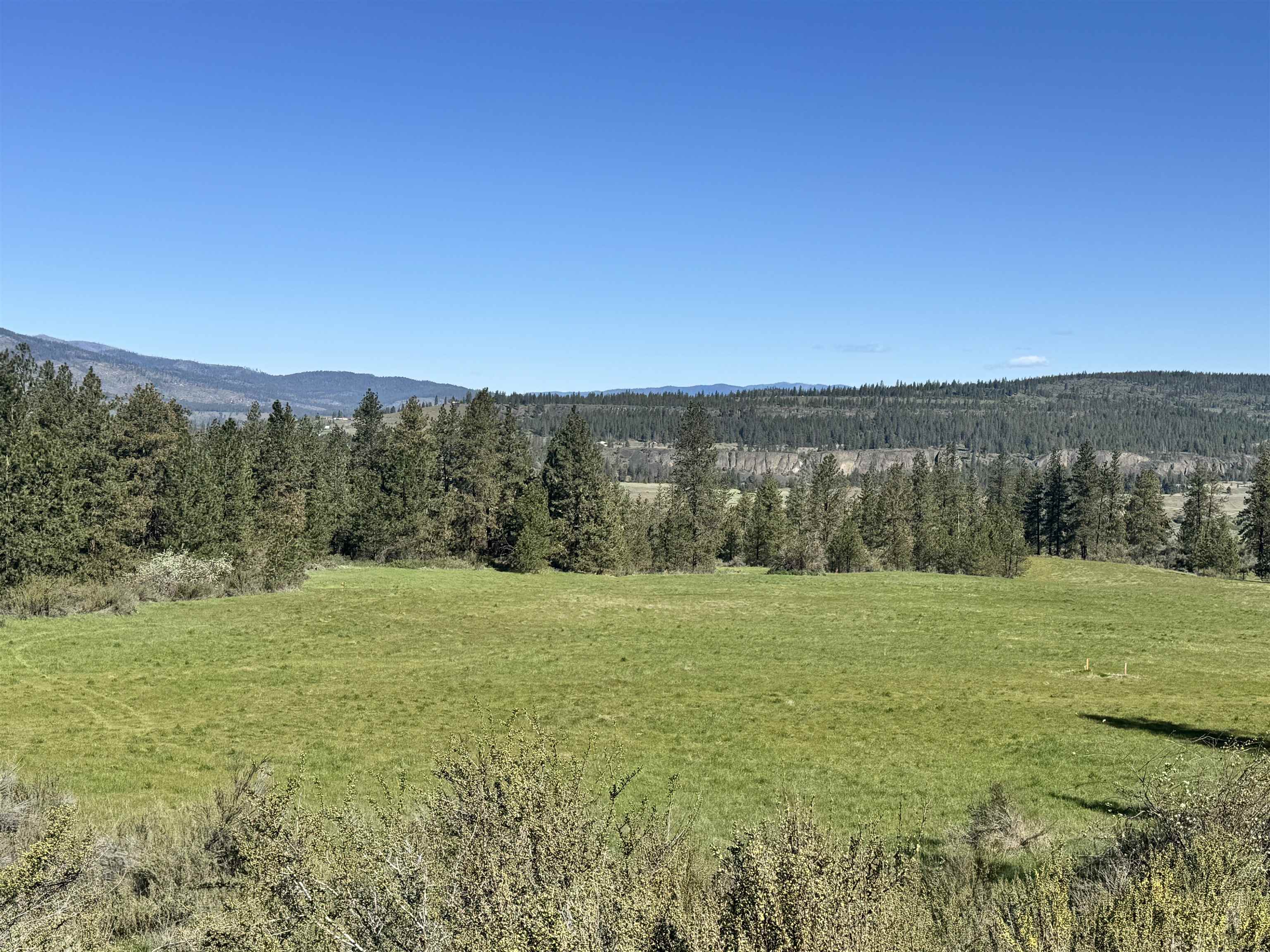 31555 E Hume Rd - Photo 11