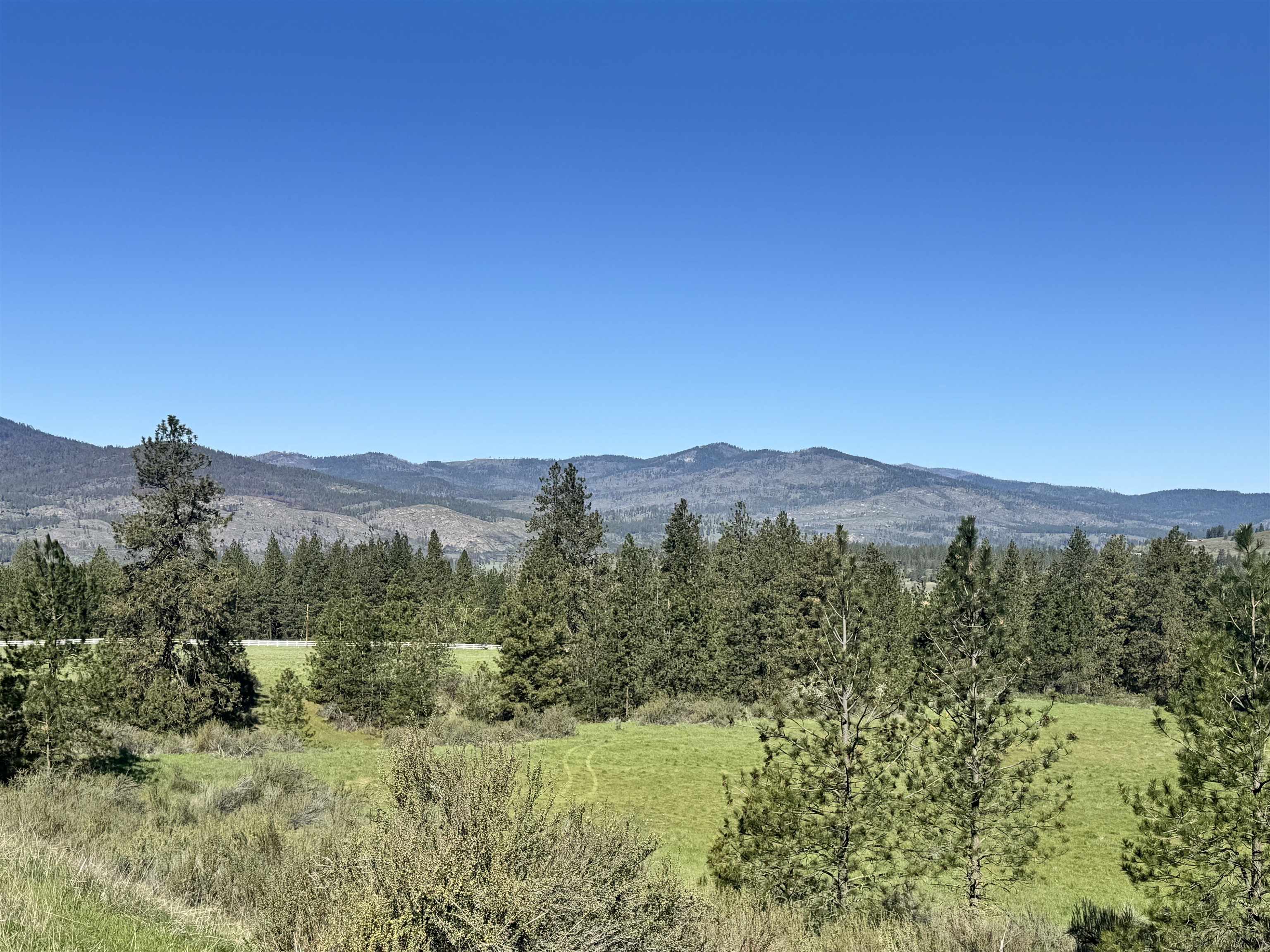 31555 E Hume Rd - Photo 12