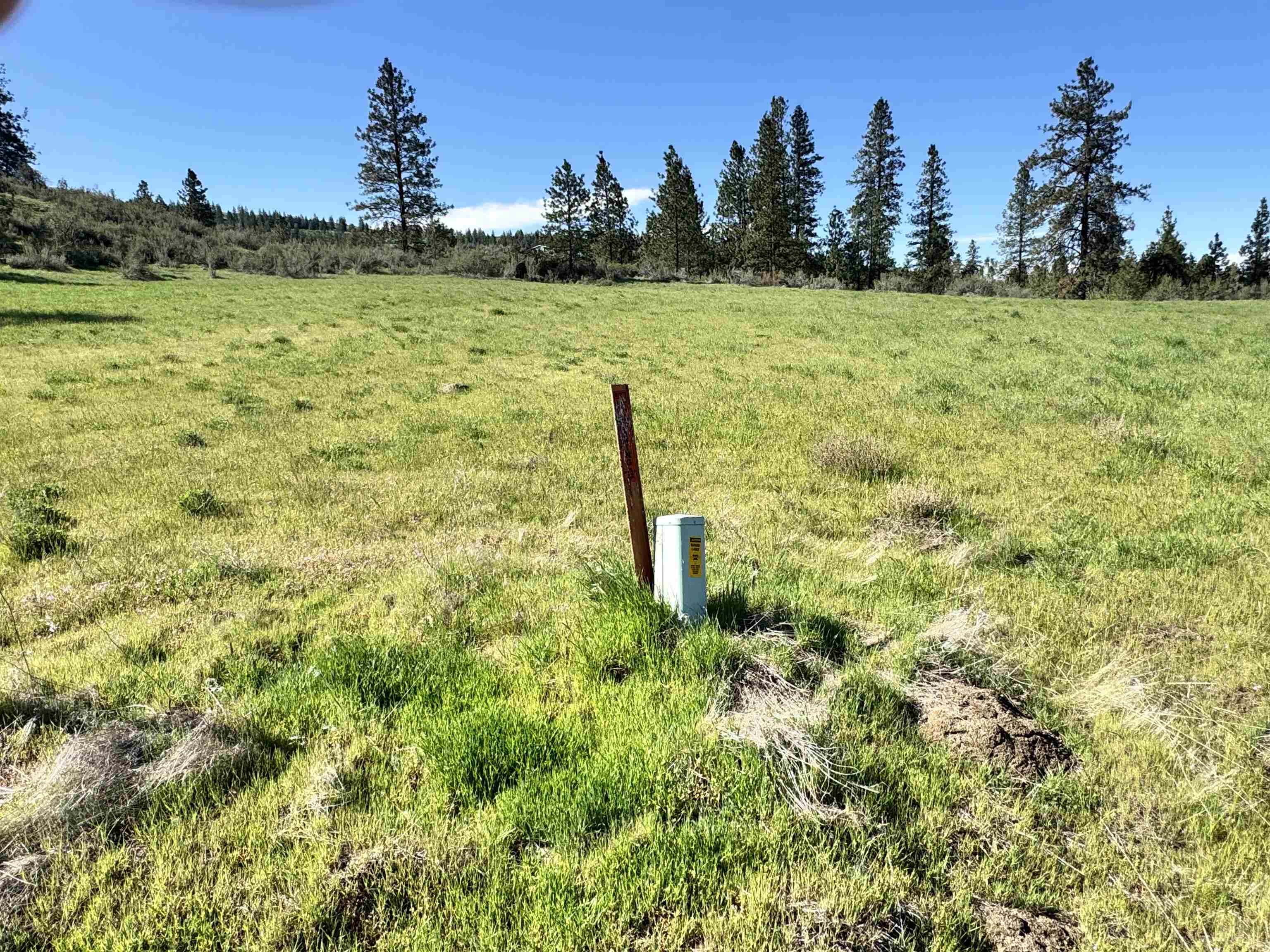 31555 E Hume Rd - Photo 16