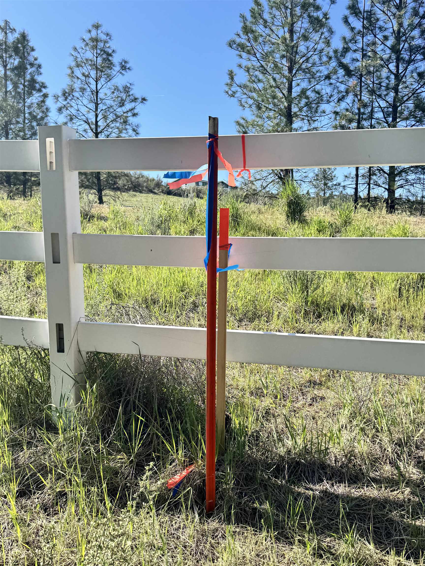 31555 E Hume Rd - Photo 18