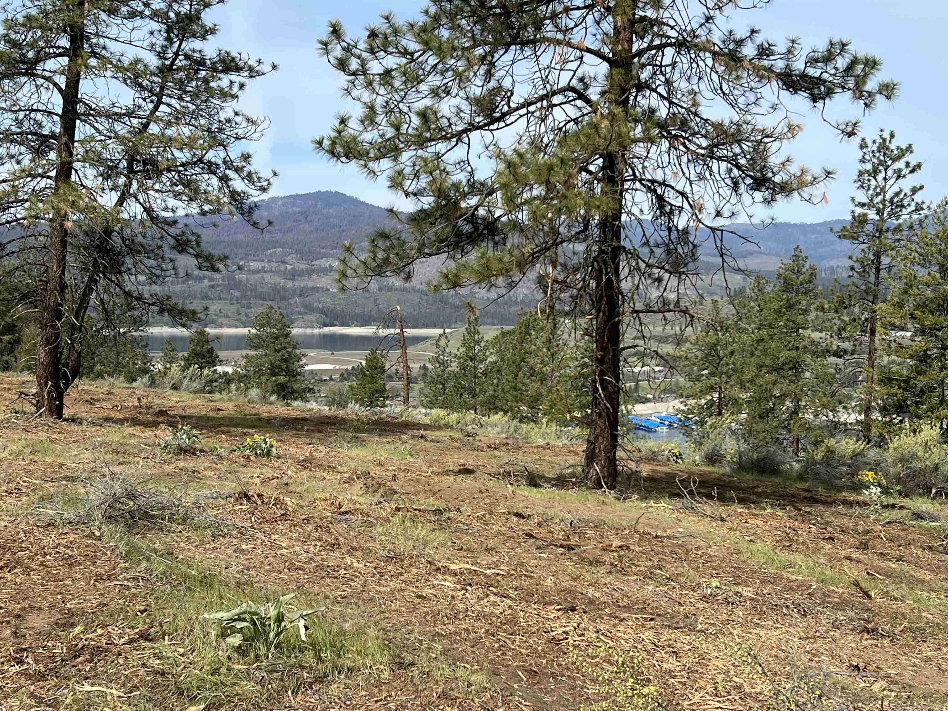 31555 E Hume Rd - Photo 3