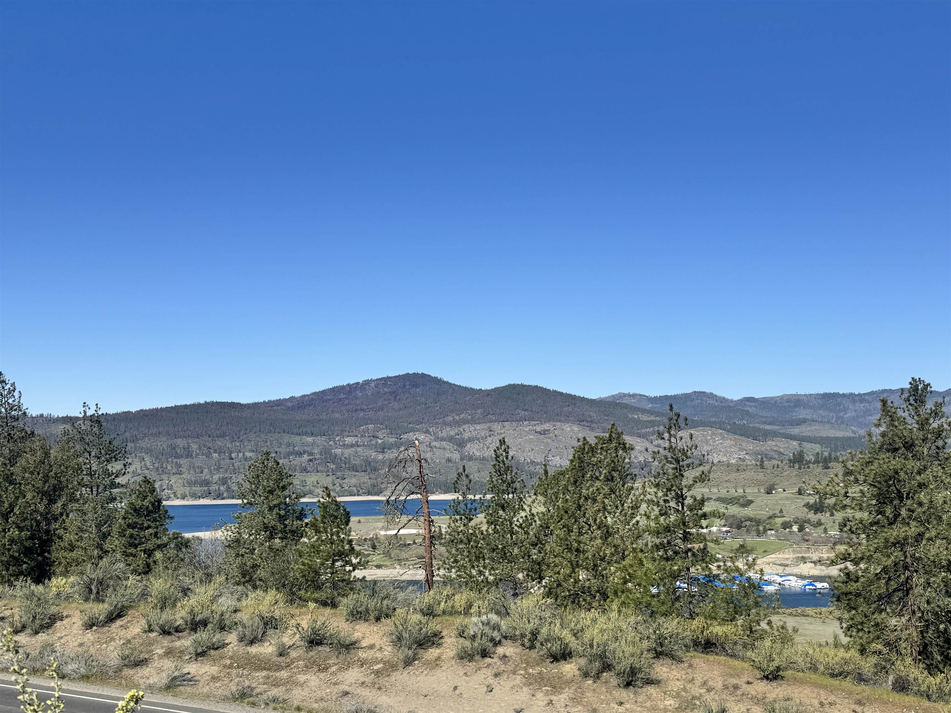 31555 E Hume Rd - Photo 5