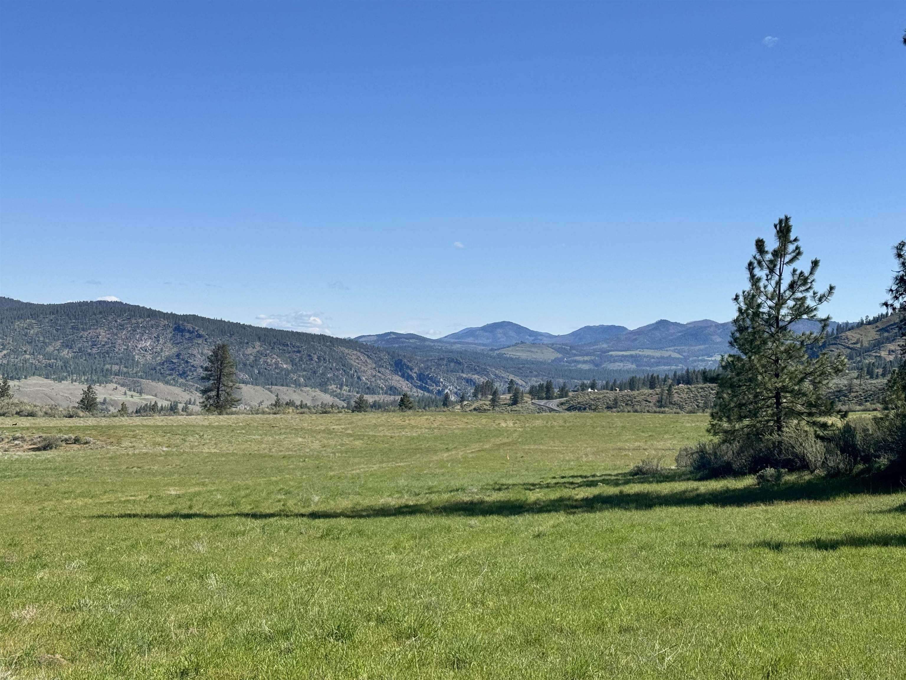 31555 E Hume Rd - Photo 8