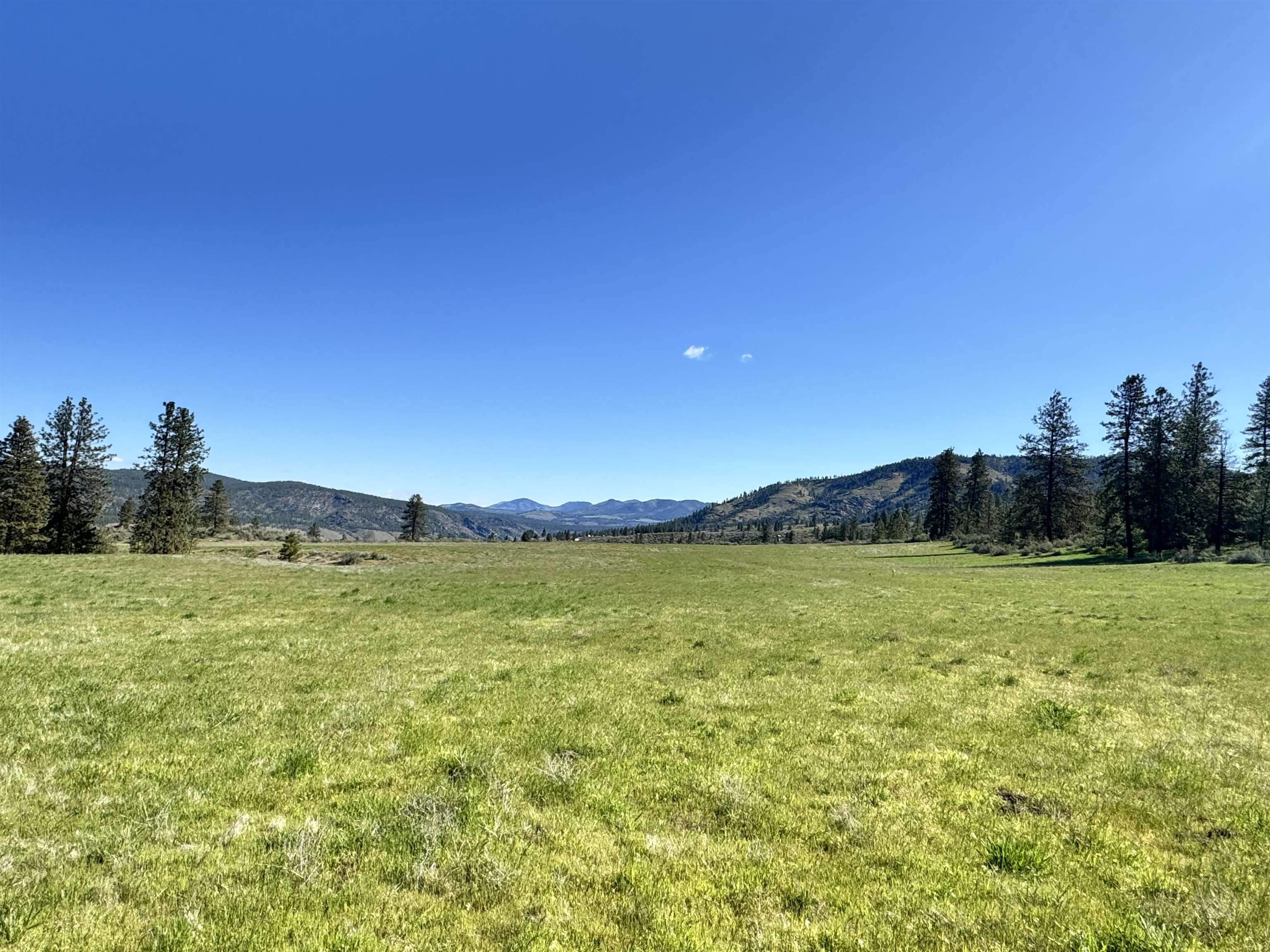 31555 E Hume Rd - Photo 9