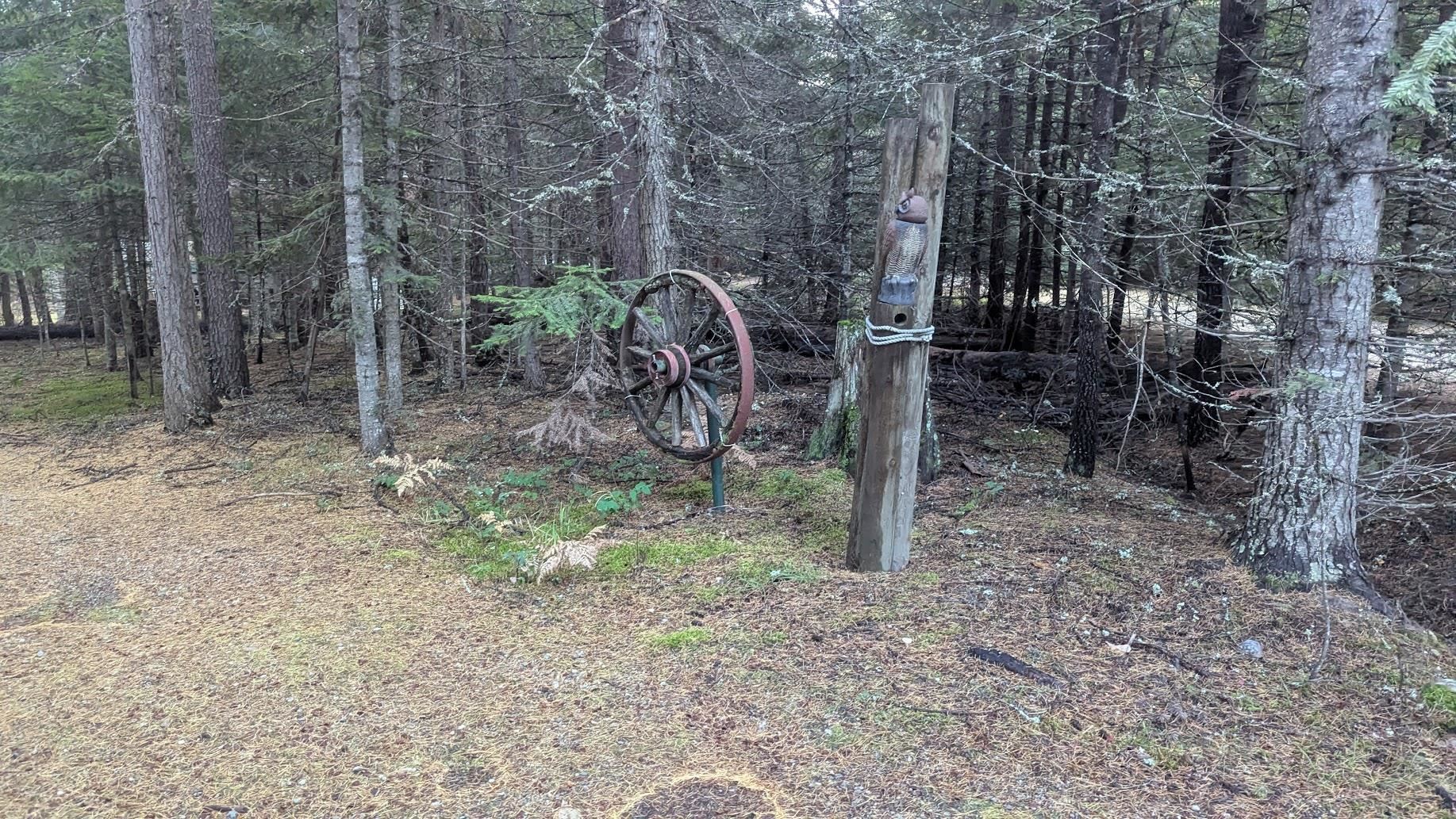 158 Teal Rd - Photo 17