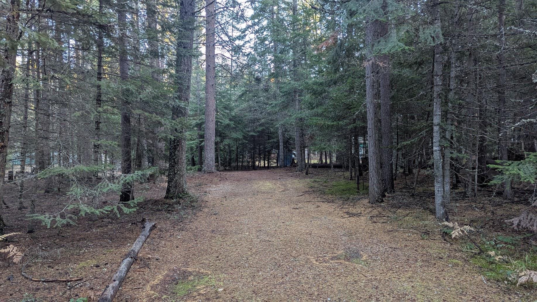 158 Teal Rd - Photo 6