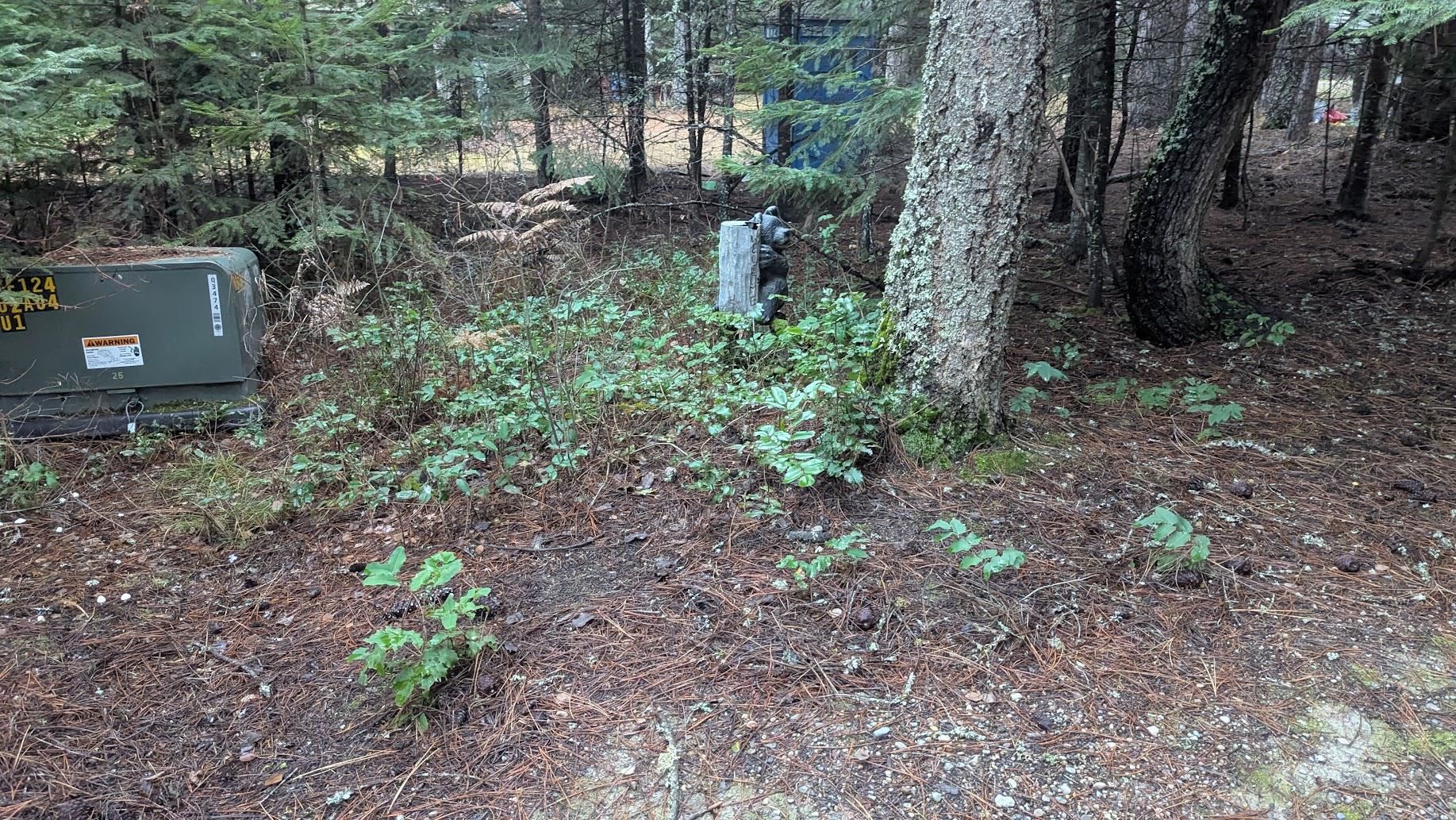158 Teal Rd - Photo 8