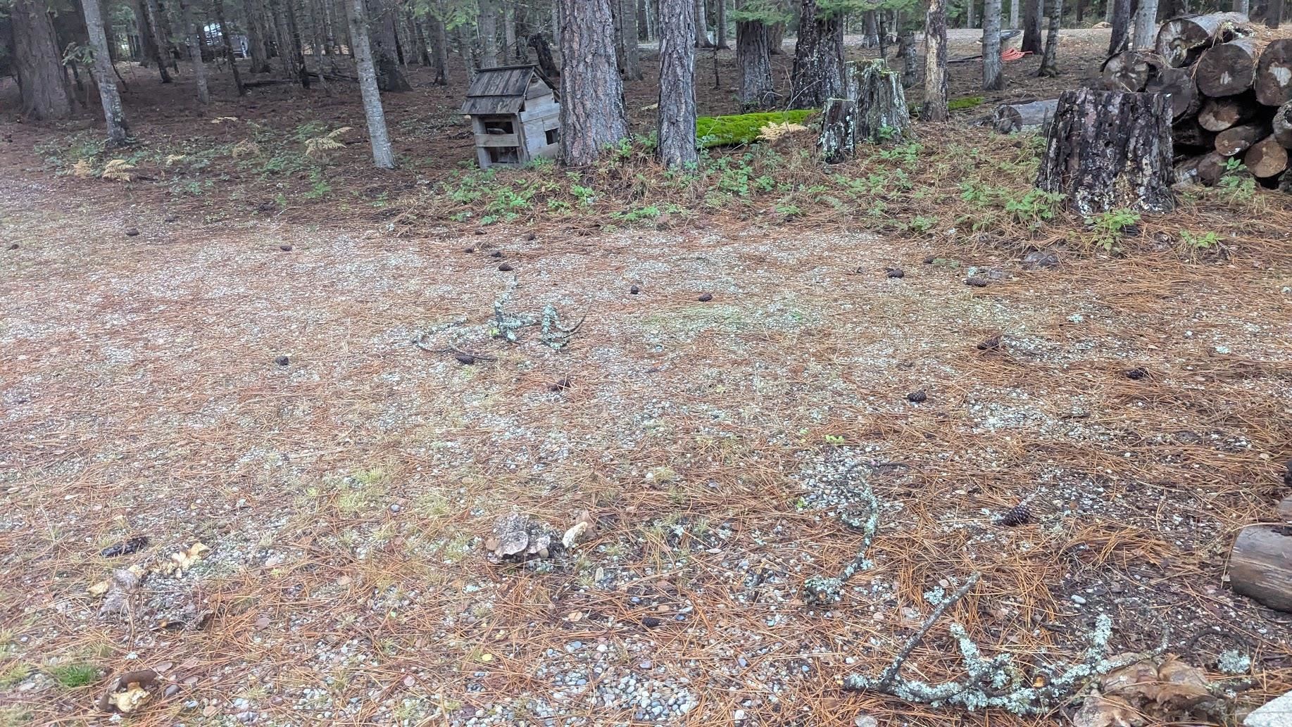 158 Teal Rd - Photo 10