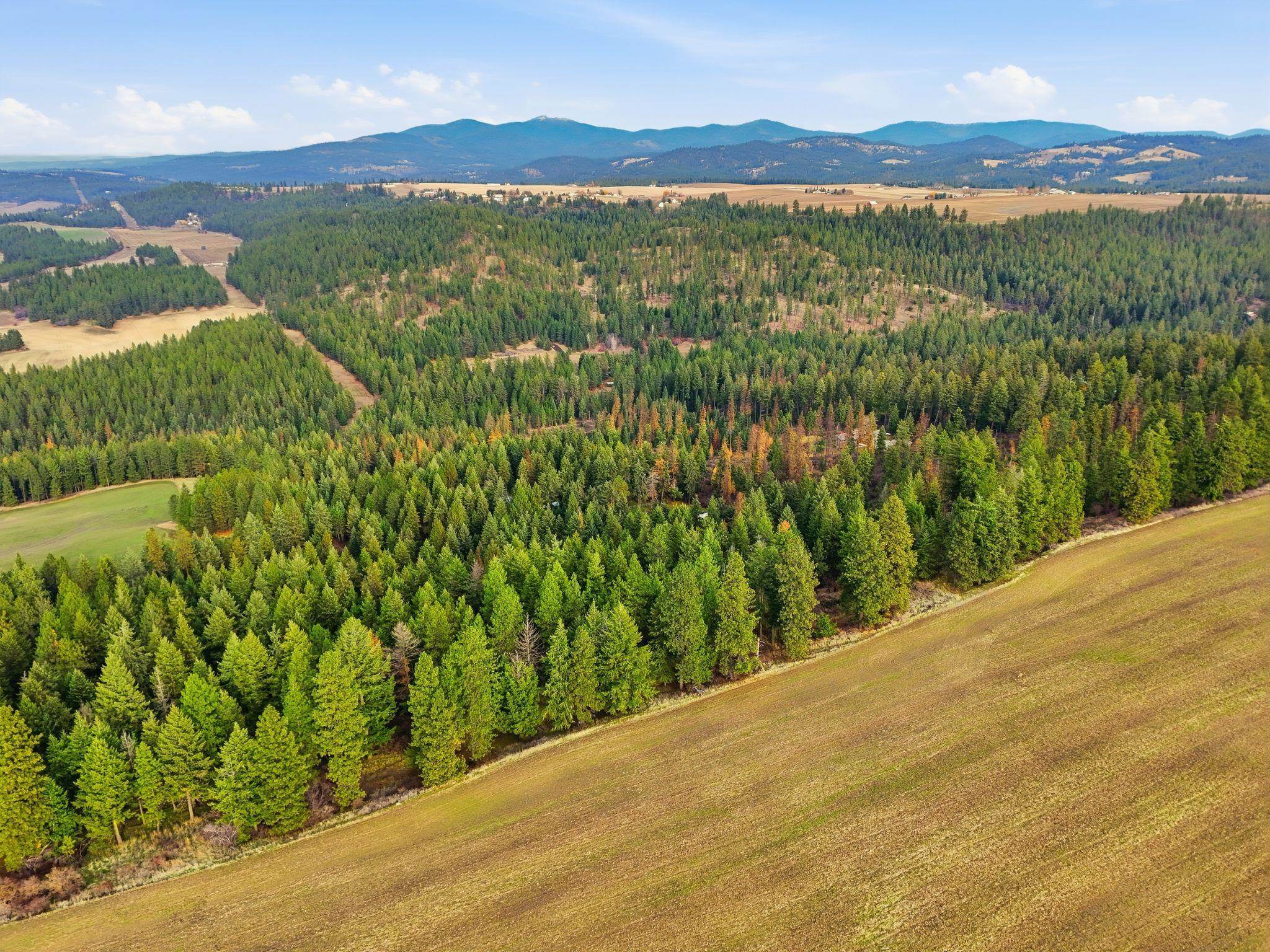 12112 E BURNETT Rd - Photo 6