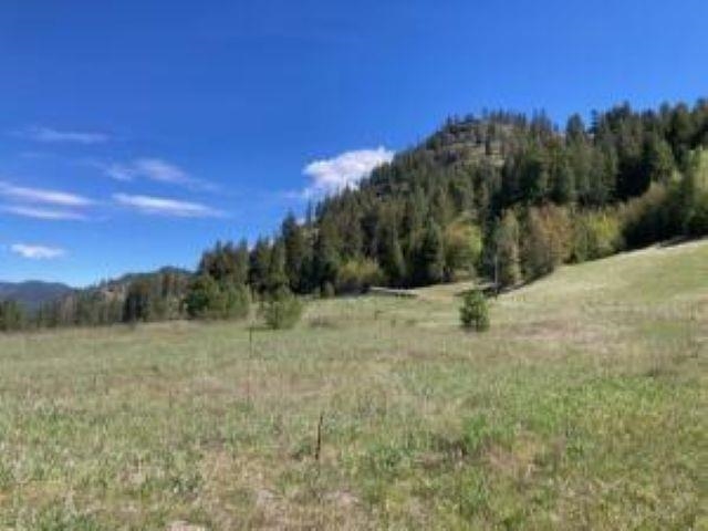 3500 Rockcut Rd - Photo 3