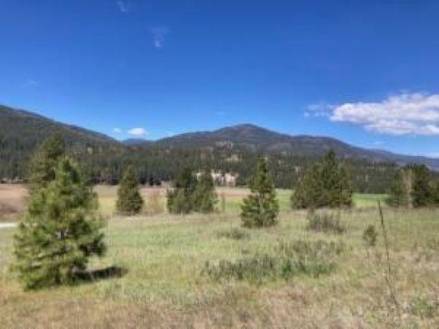 3500 Rockcut Rd - Photo 4