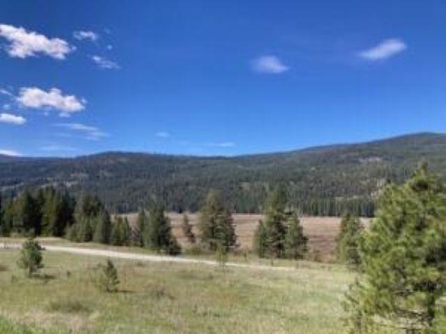 3500 Rockcut Rd - Photo 7